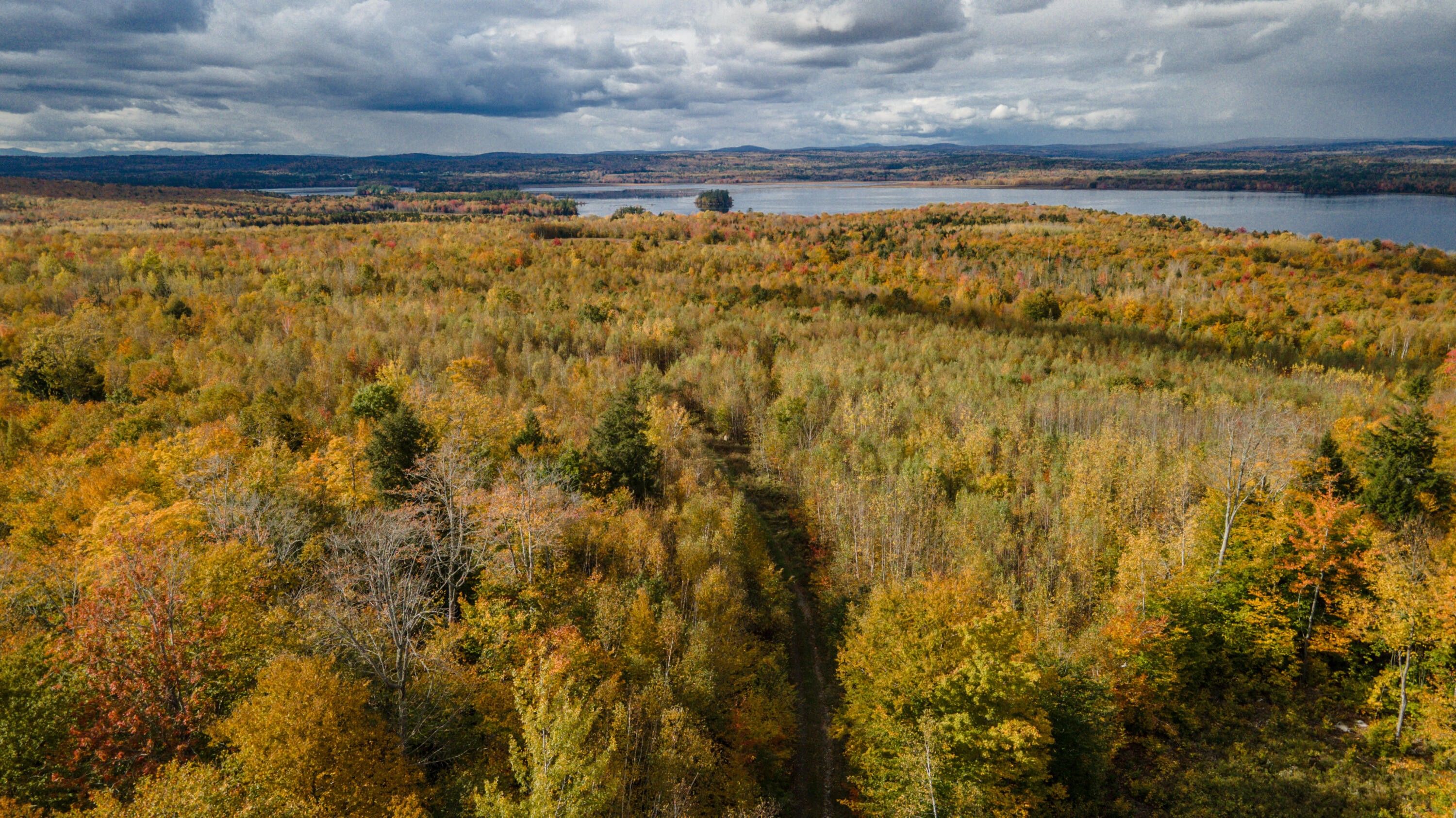 252 Acres, Tbd Vigue Road, Hartland, ME 04943 Land and Farm