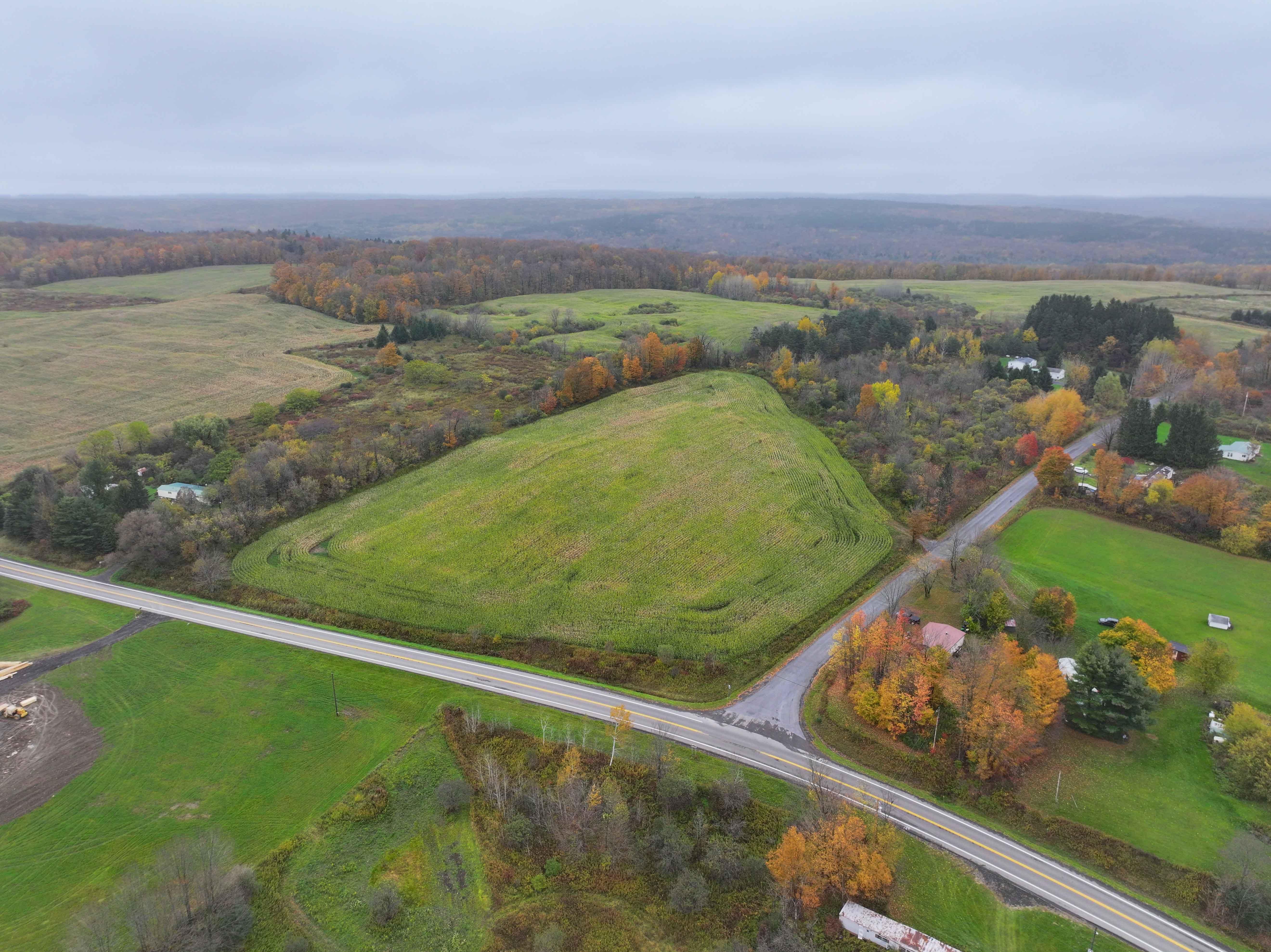 Iowa Rd, Sempronius, NY 13118 MLS S1505388 Land and Farm