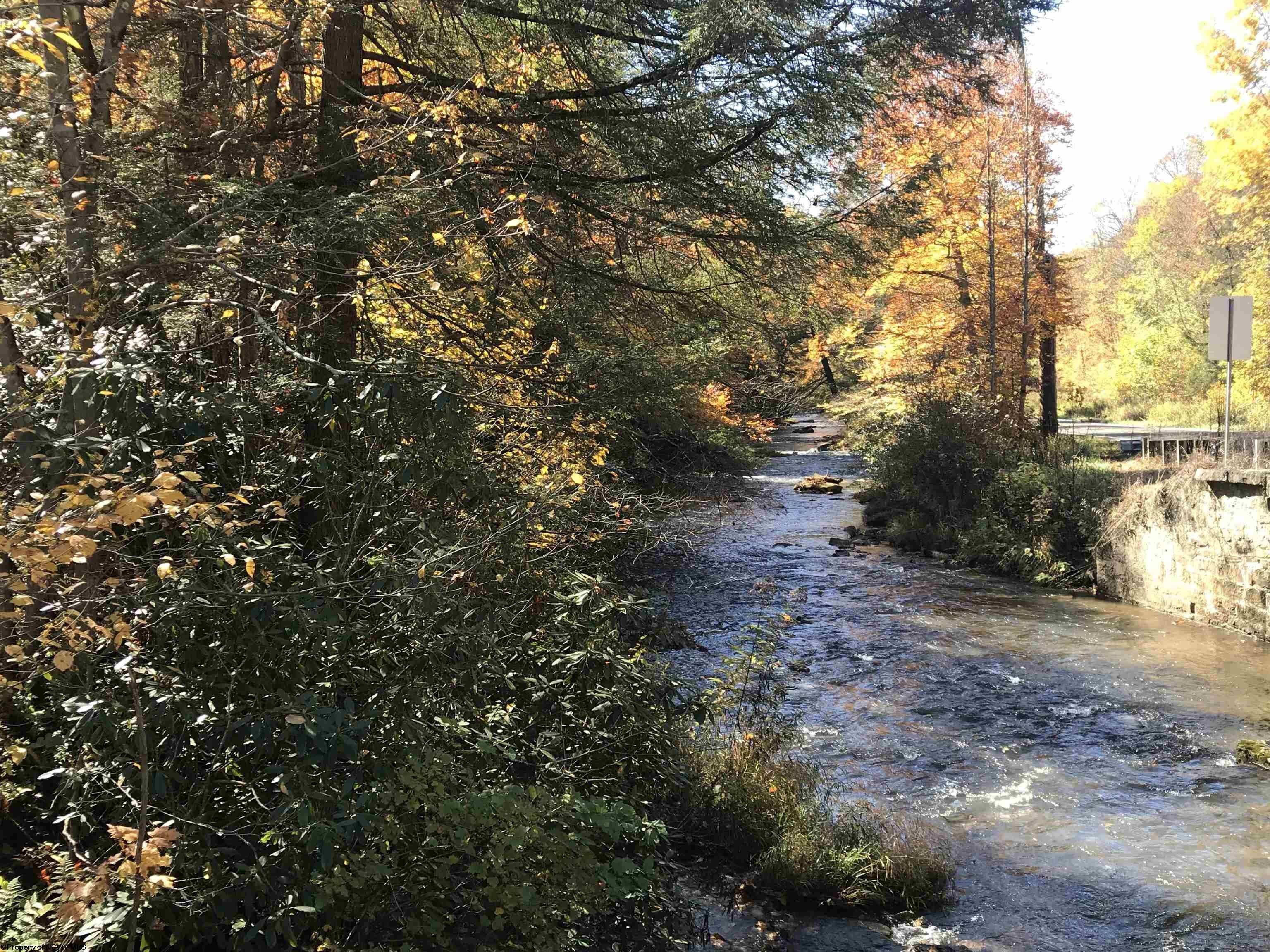 6 Acres, TBD Woolen Mills Road, Albright, WV 26519 Land and Farm