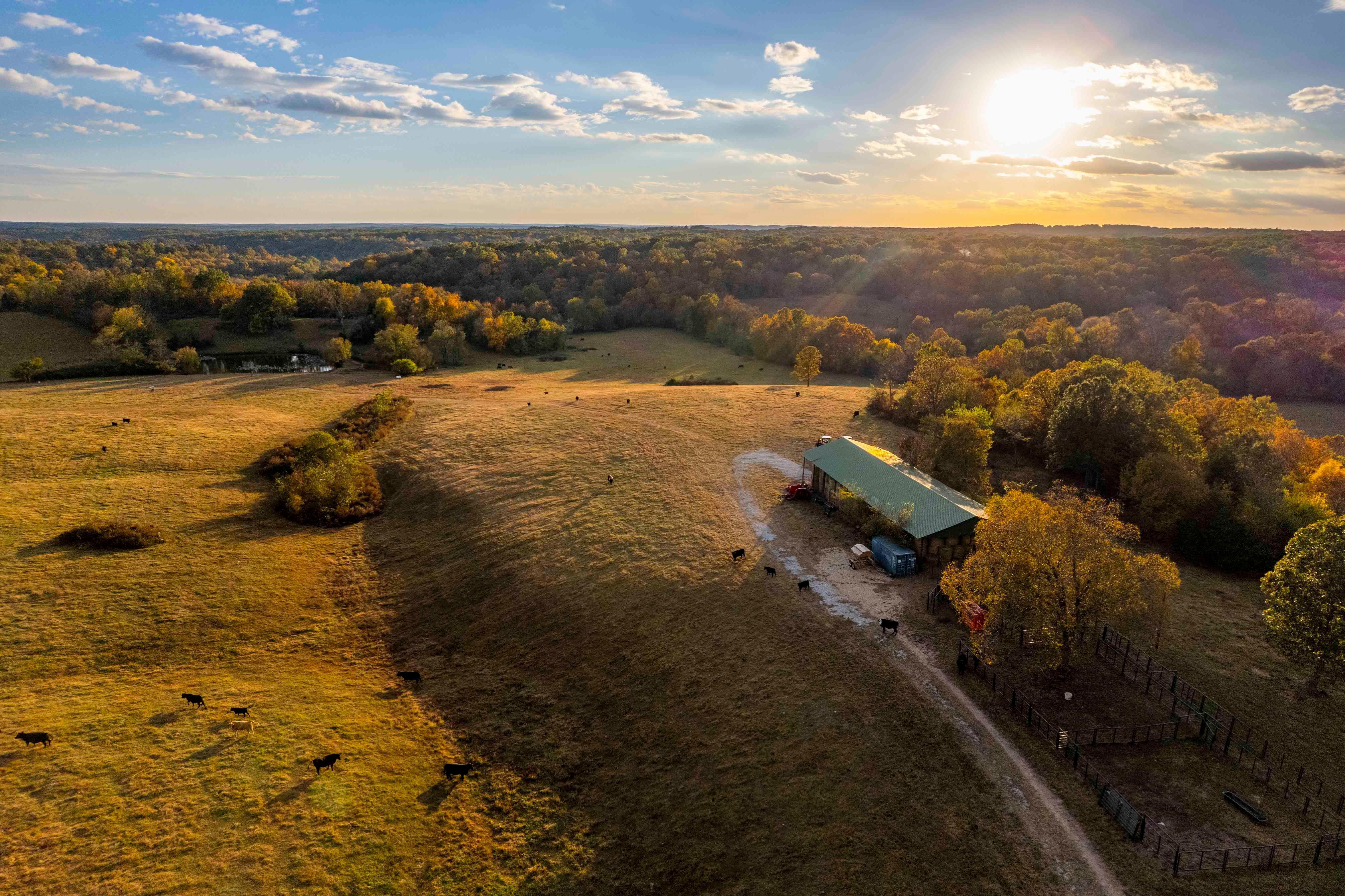 226 Acres, 1894 Davis Valley Rd, Leasburg, MO 65535 Land and Farm