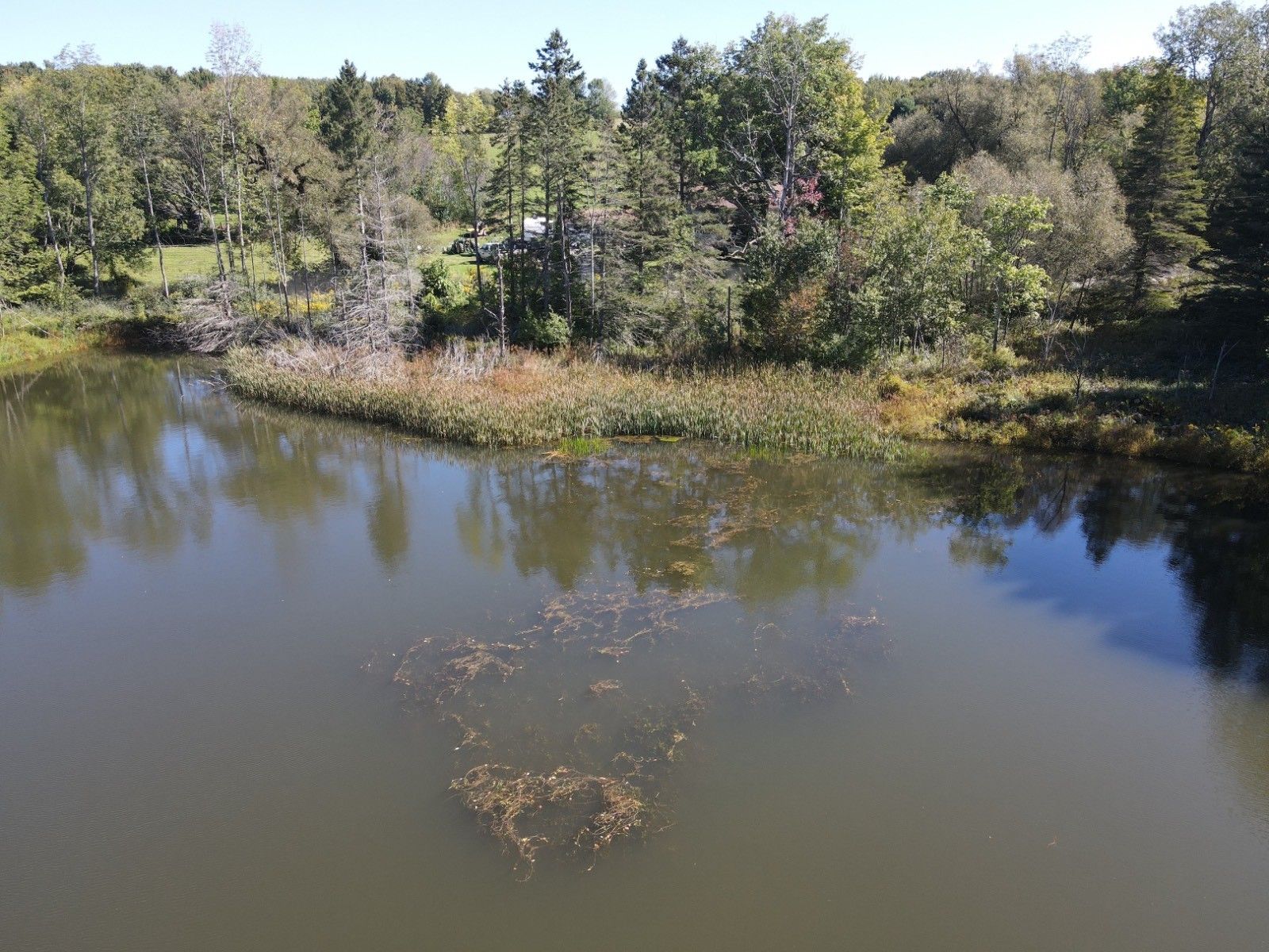 8.42 Acres, 700 East Jackson Hill Rd, Meredith, NY 13757 Land and Farm