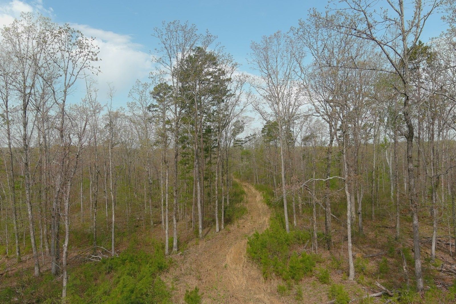 120 Acres, Wayne County, Missouri, Greenville, MO 63944 Land and Farm