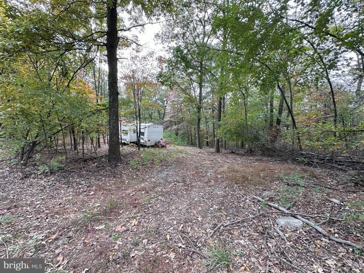 MOUNTAIN TOP ROAD, Bloomery, WV 26817 MLS WVHS2004006 Land and Farm