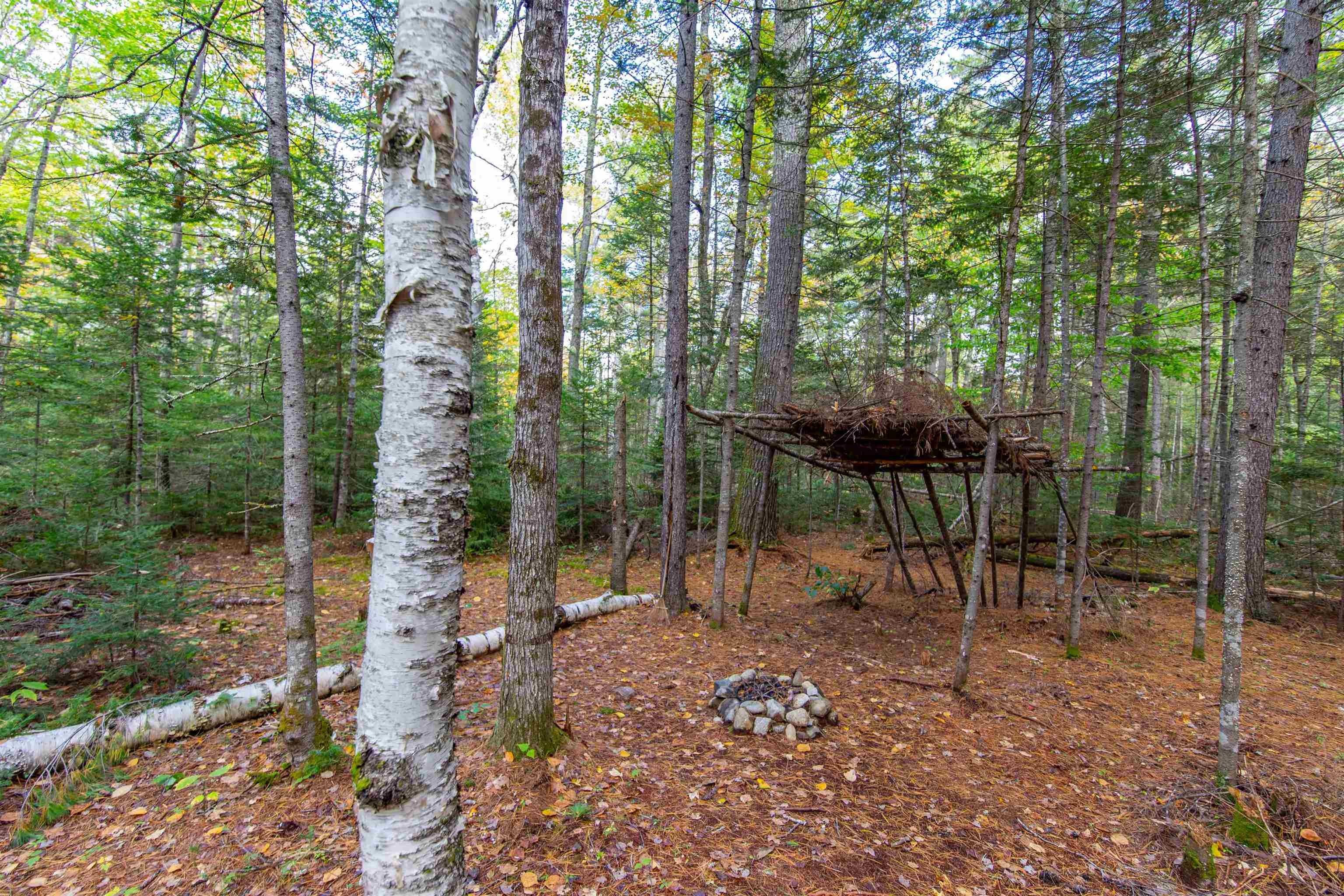 4 Acres, 155 Locke Falls Road, Tamworth, NH 03897 Land and Farm