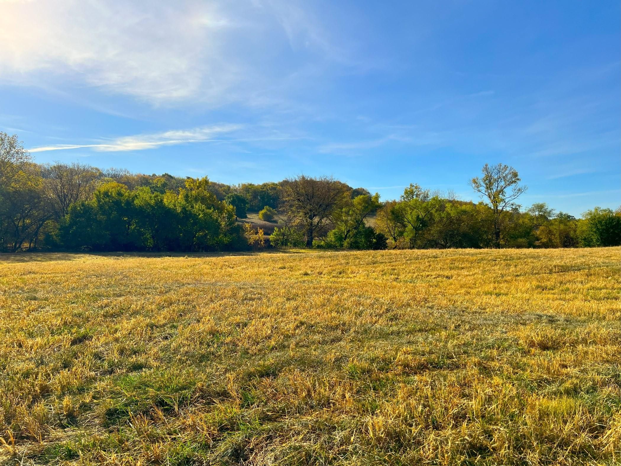 16.84 Acres, 2094 Wellman Road, Lawrence, KS 66044 Land and Farm