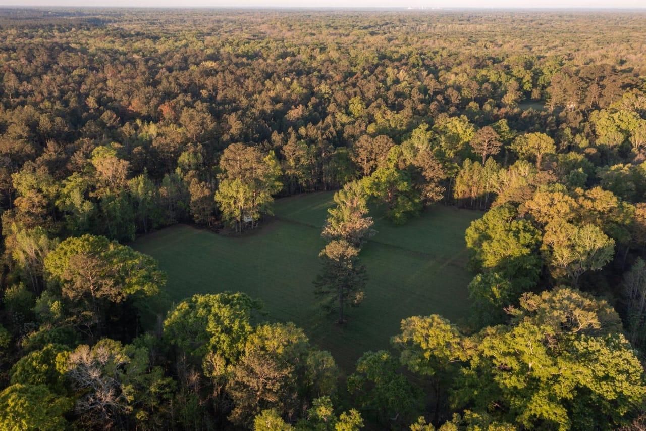 836 acres in Tensaw, AL, 36579 Land and Farm