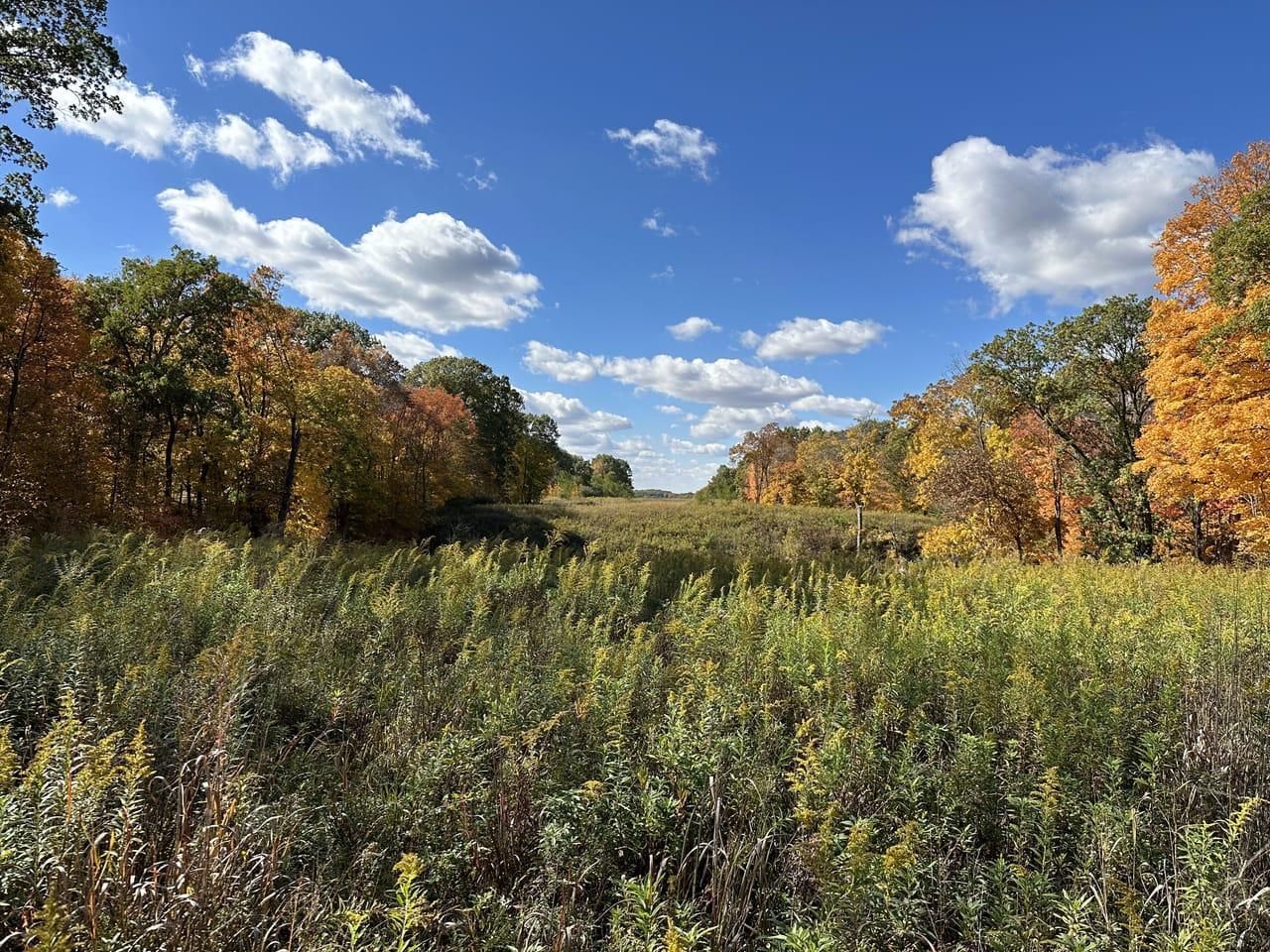 46 Acres, North Taylor Lane, Astoria, IL 61501 Land and Farm