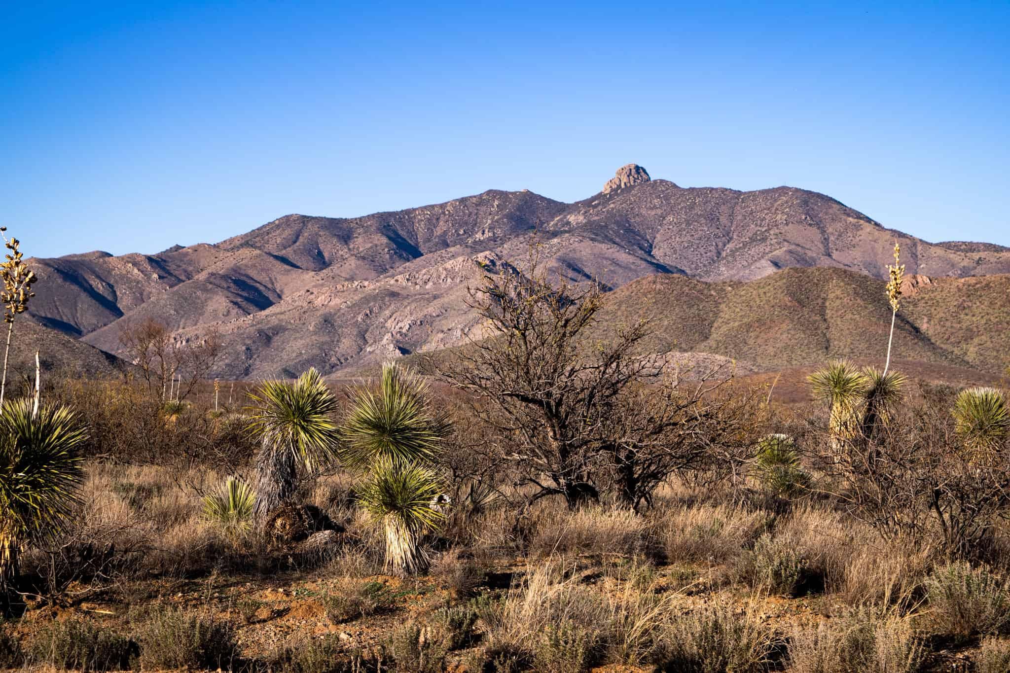 10 acres in Willcox, AZ, 85643 Land and Farm
