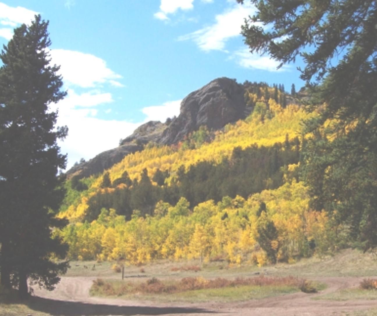 375 per month Lode GoldVein Mining Claim Ownership, Fairplay, CO 80440