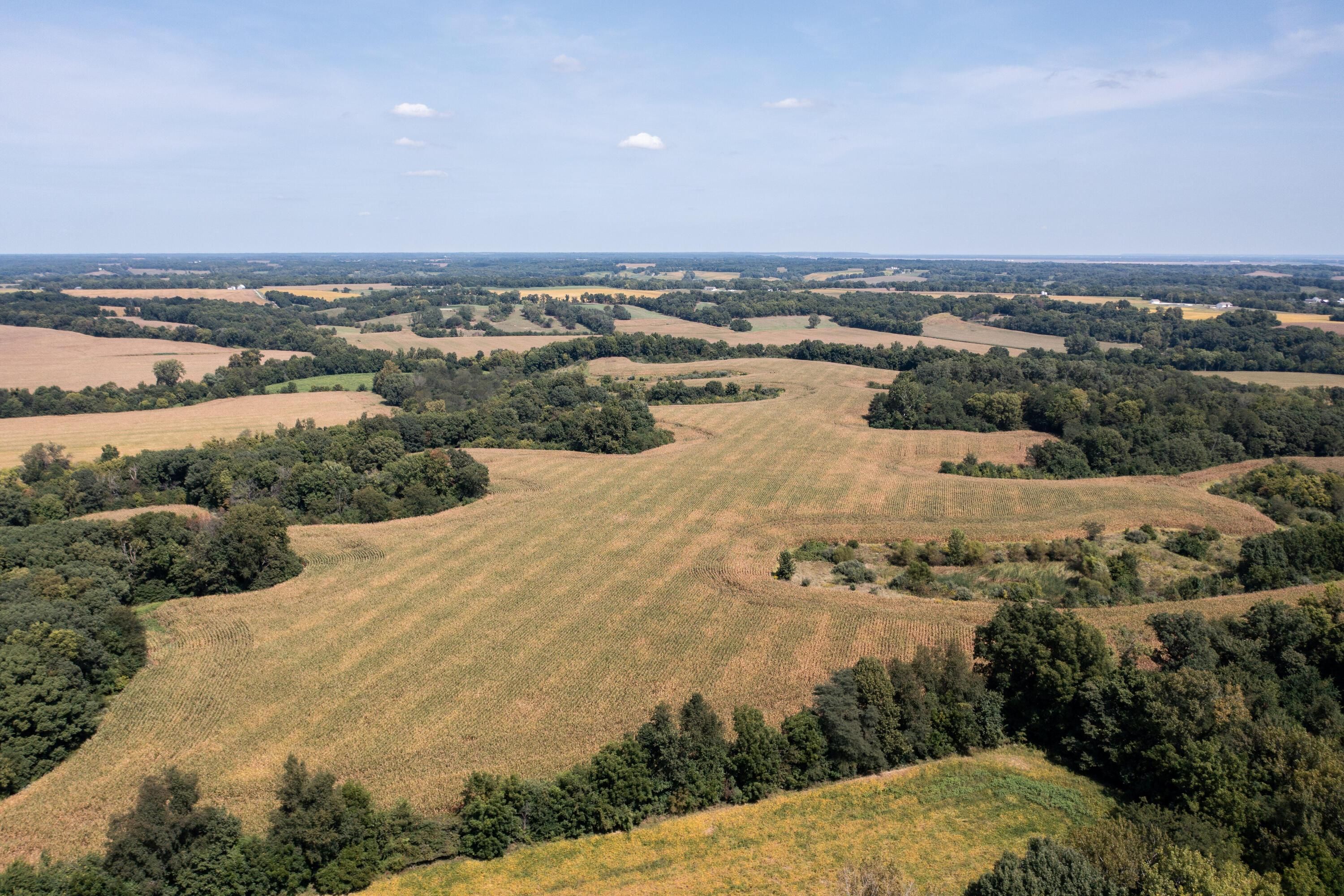 43273 335th Avenue, Griggsville, IL 62340 MLS CA1025530 Land and Farm