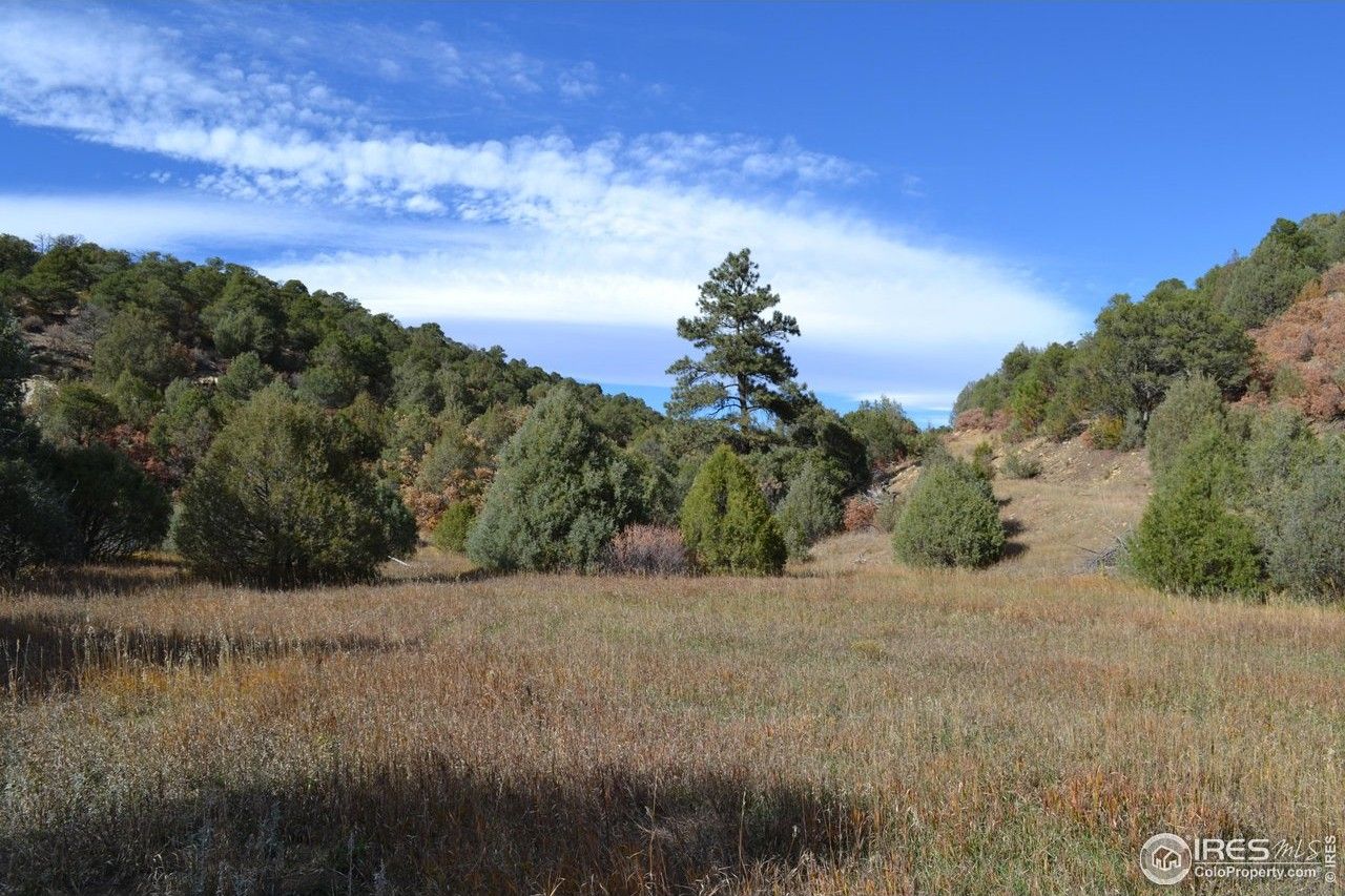 0 Peacock Rd, Trinidad, CO 81082 MLS 998934 Land and Farm