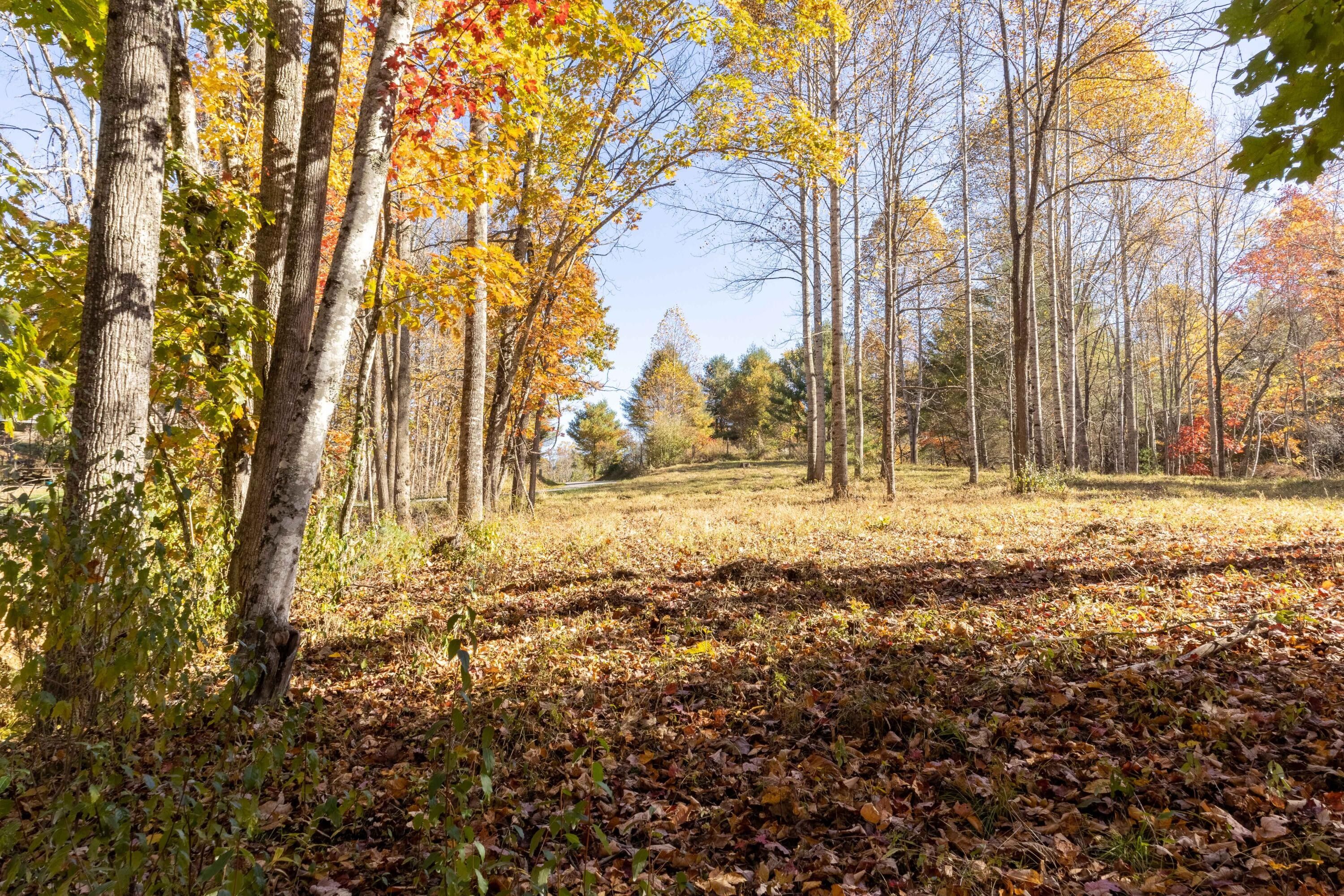6.62 Acres, 0 Laurel Creek RD NE, Pilot, VA 24138 Land and Farm