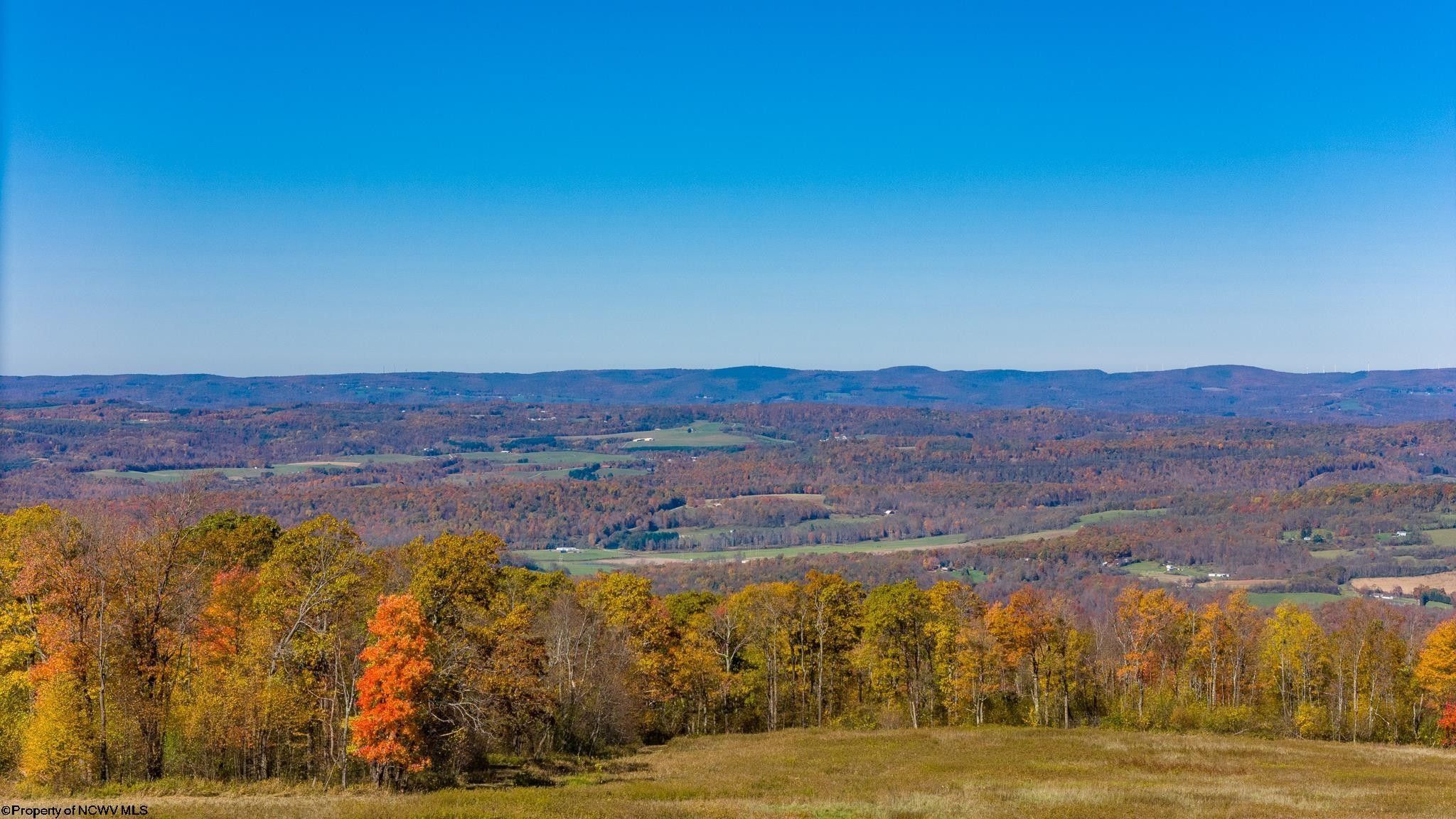 83 Acres, 5831 Brandonville Pike, Terra Alta, WV 26764 Land and Farm