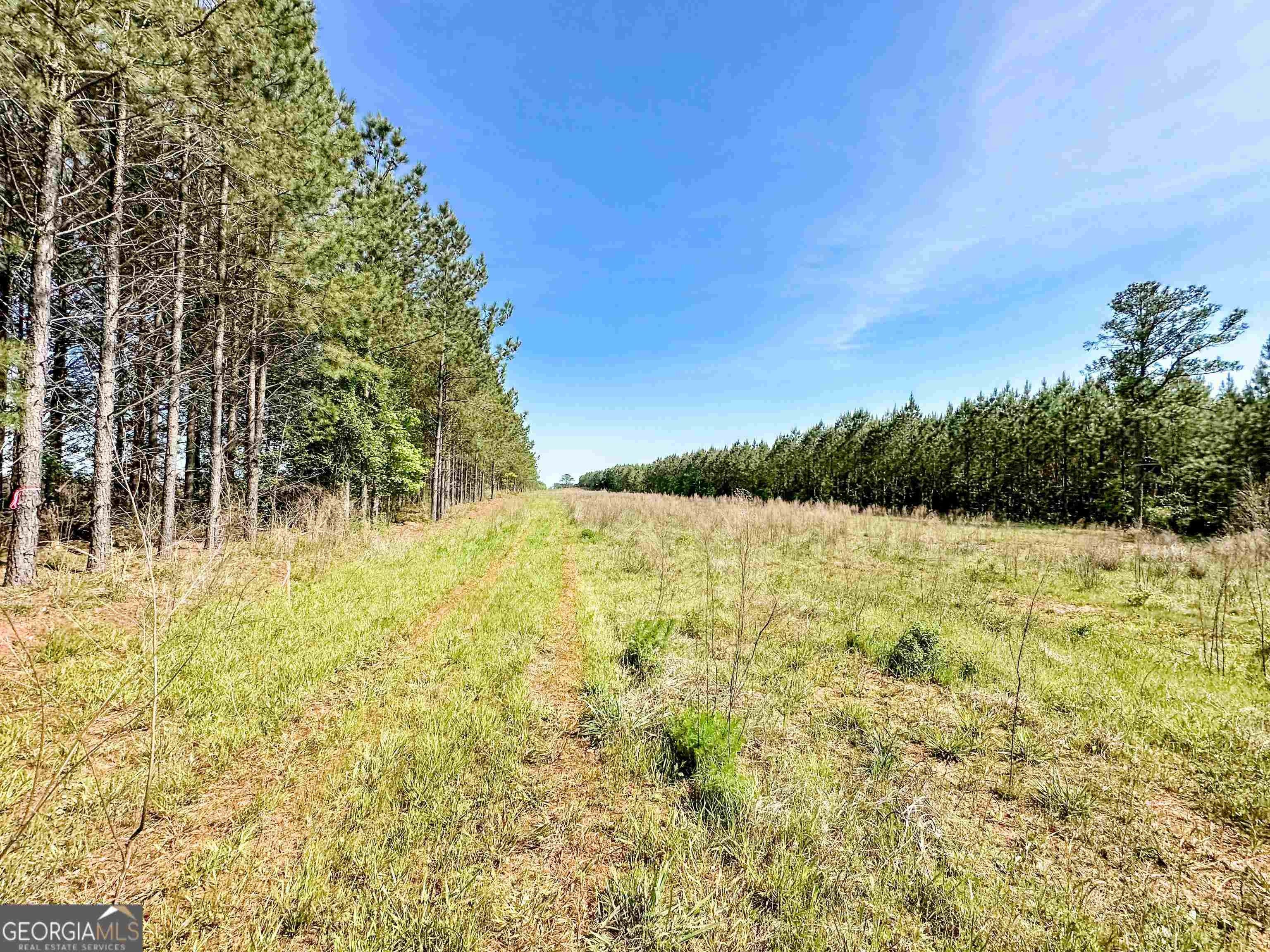 12 Acres, TRACT 5 Goolsby Road, Monticello, GA 31064 Land and Farm