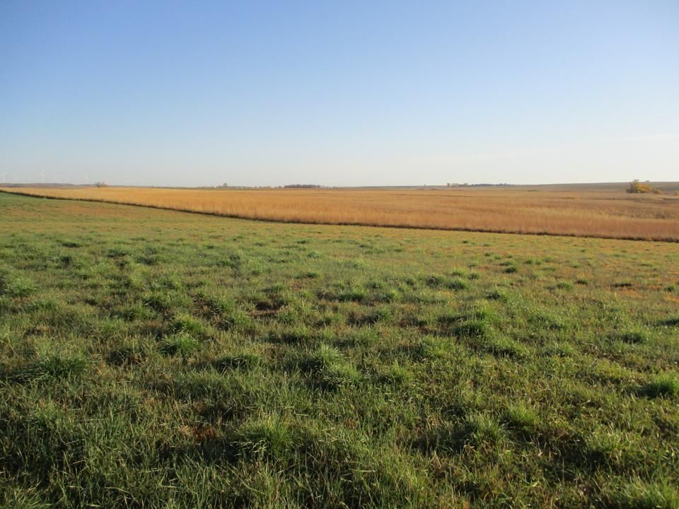 494 Acres, Plankinton, SD 57382 Land and Farm