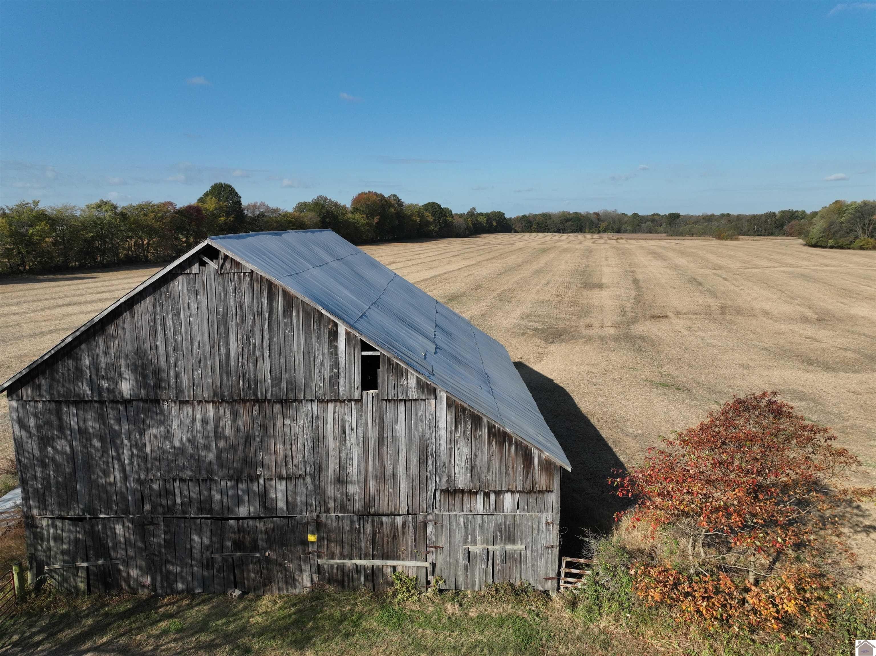 171 Acres, 000 Steve Denton Rd, Barlow, KY 42024 Land and Farm