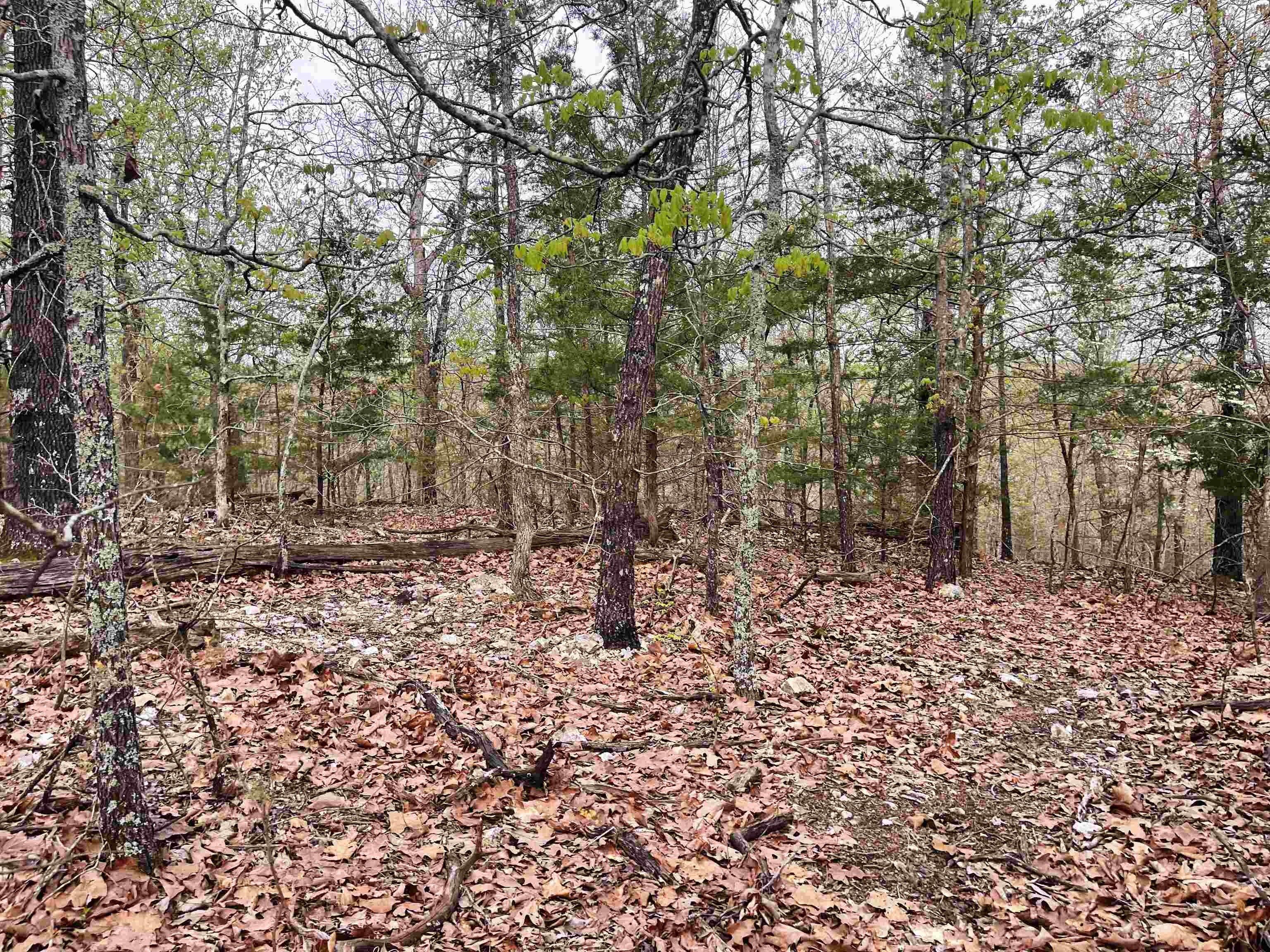 4.23 Acres, Lot 47 Cherokee Acres Drive, Cherokee Village, AR 72529