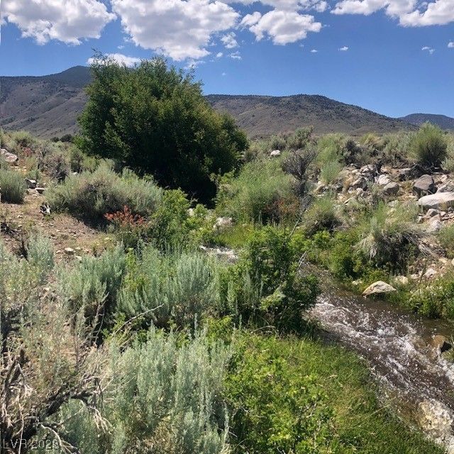 15 Acres, 131d Wild Horse Run, Dyer, NV 89010 Land and Farm