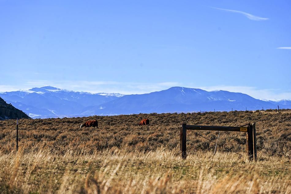 Cottonwood Road, Bridger, MT 59014 Land and Farm