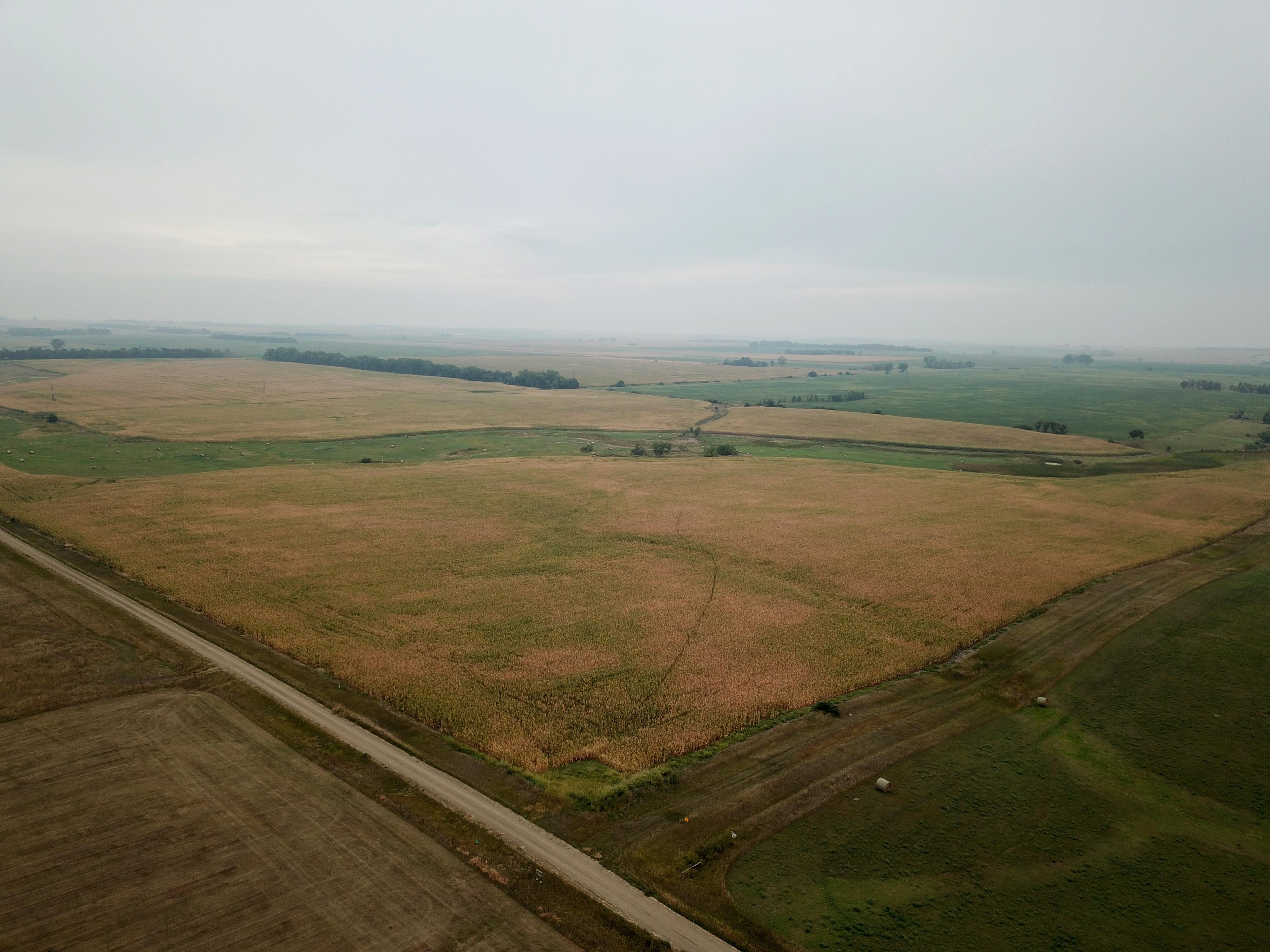 140.32 Acres, Corsica, SD 57328 Land and Farm