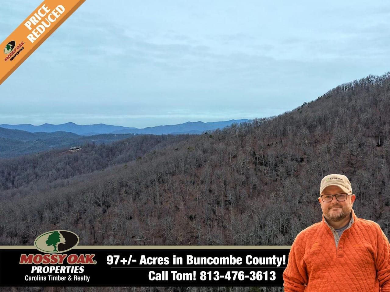 2007 NC HWY 9, Black Mountain, NC 28711 MLS Canopy 3936188 Land