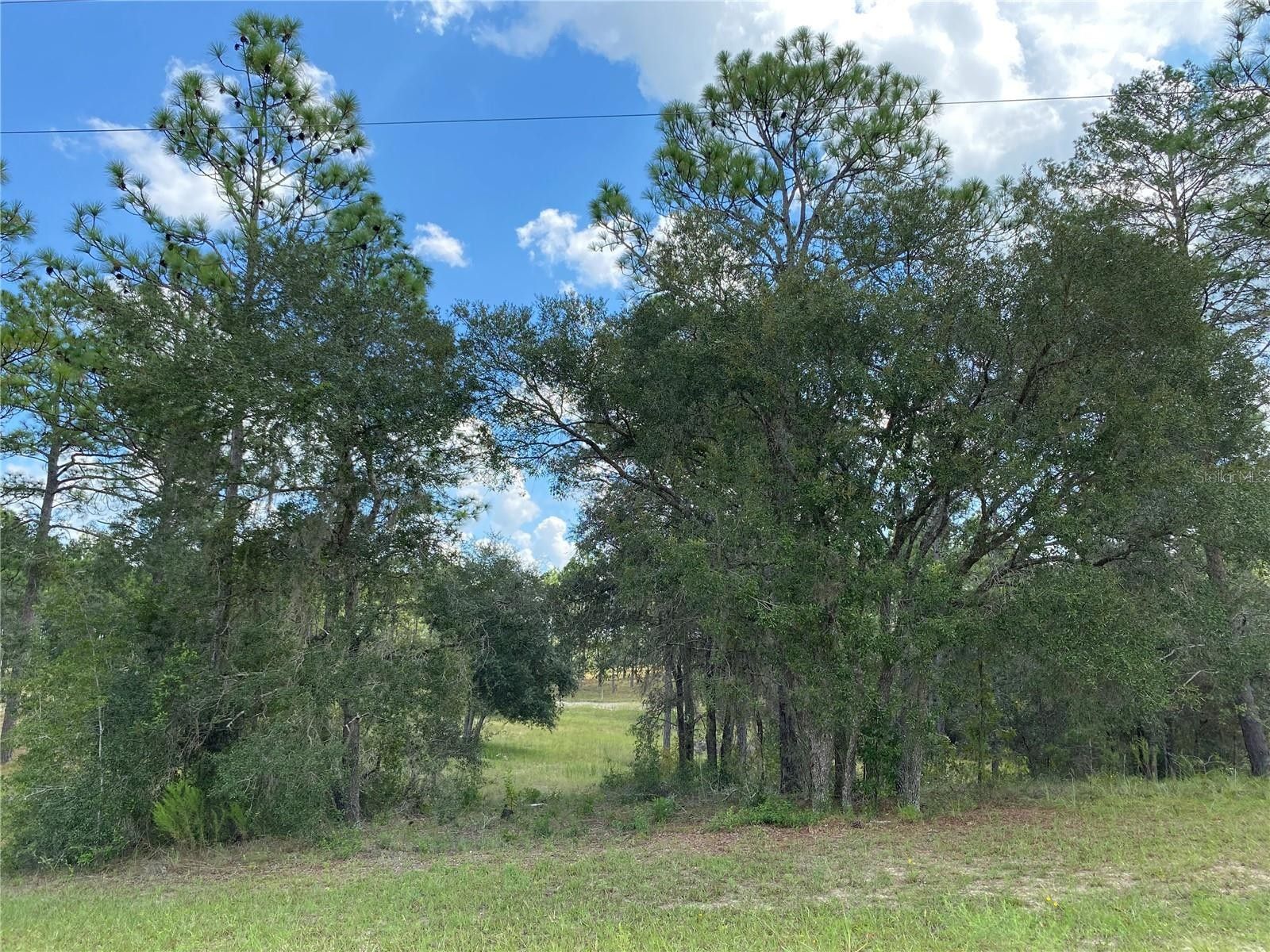 1 Acres, 00 SE 150TH AVENUE, Morriston, FL 32668 Land and Farm