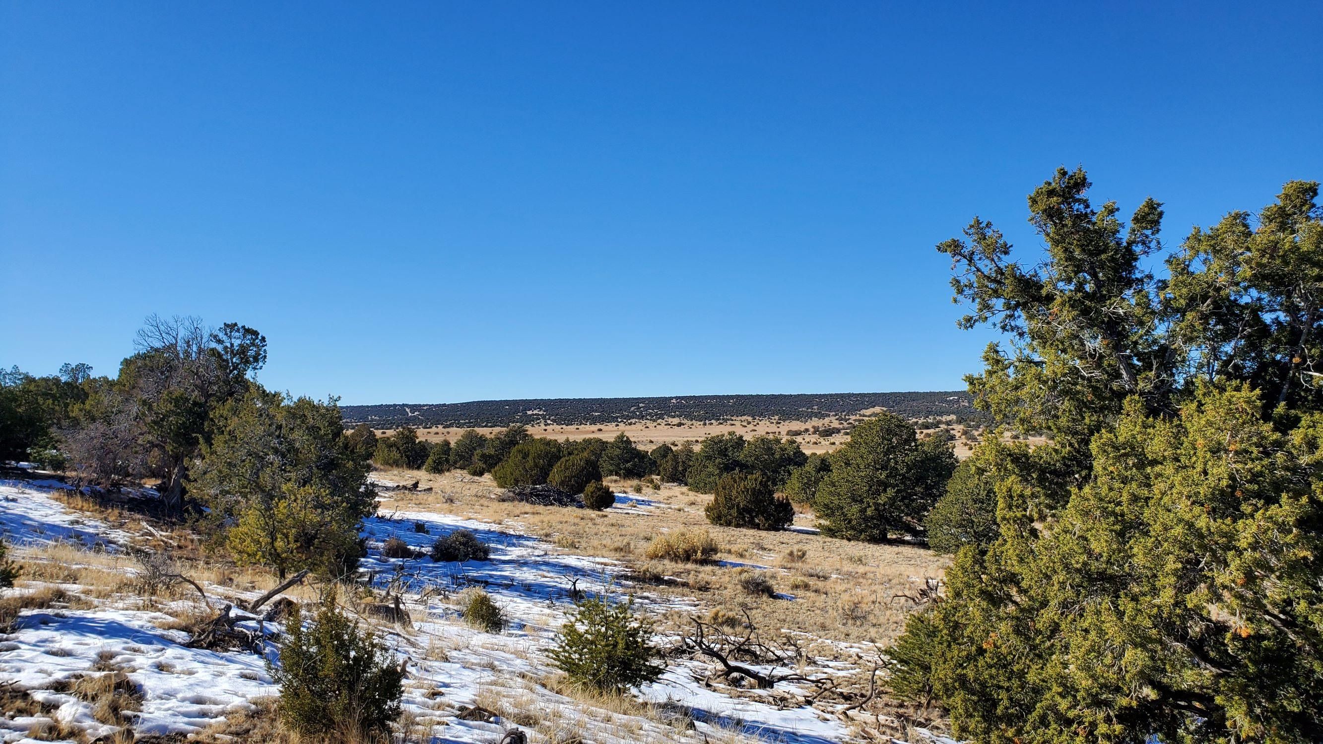 Indian Maiden Ct, Quemado, NM 87829 Land and Farm