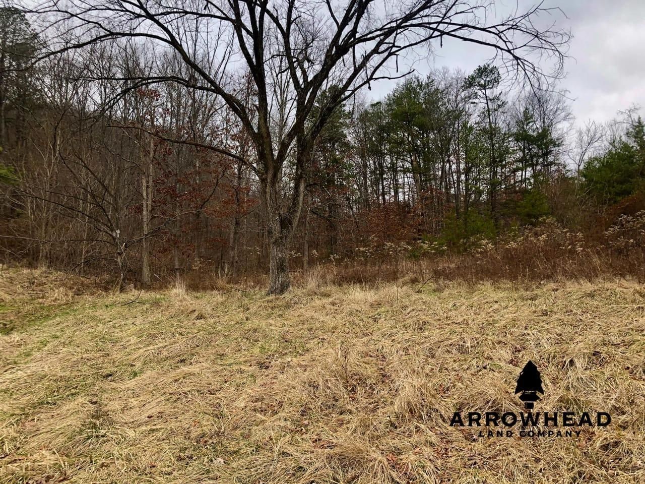 61 Acres, 1301 Colley Rd., Mcdermott, OH 45652 Land and Farm