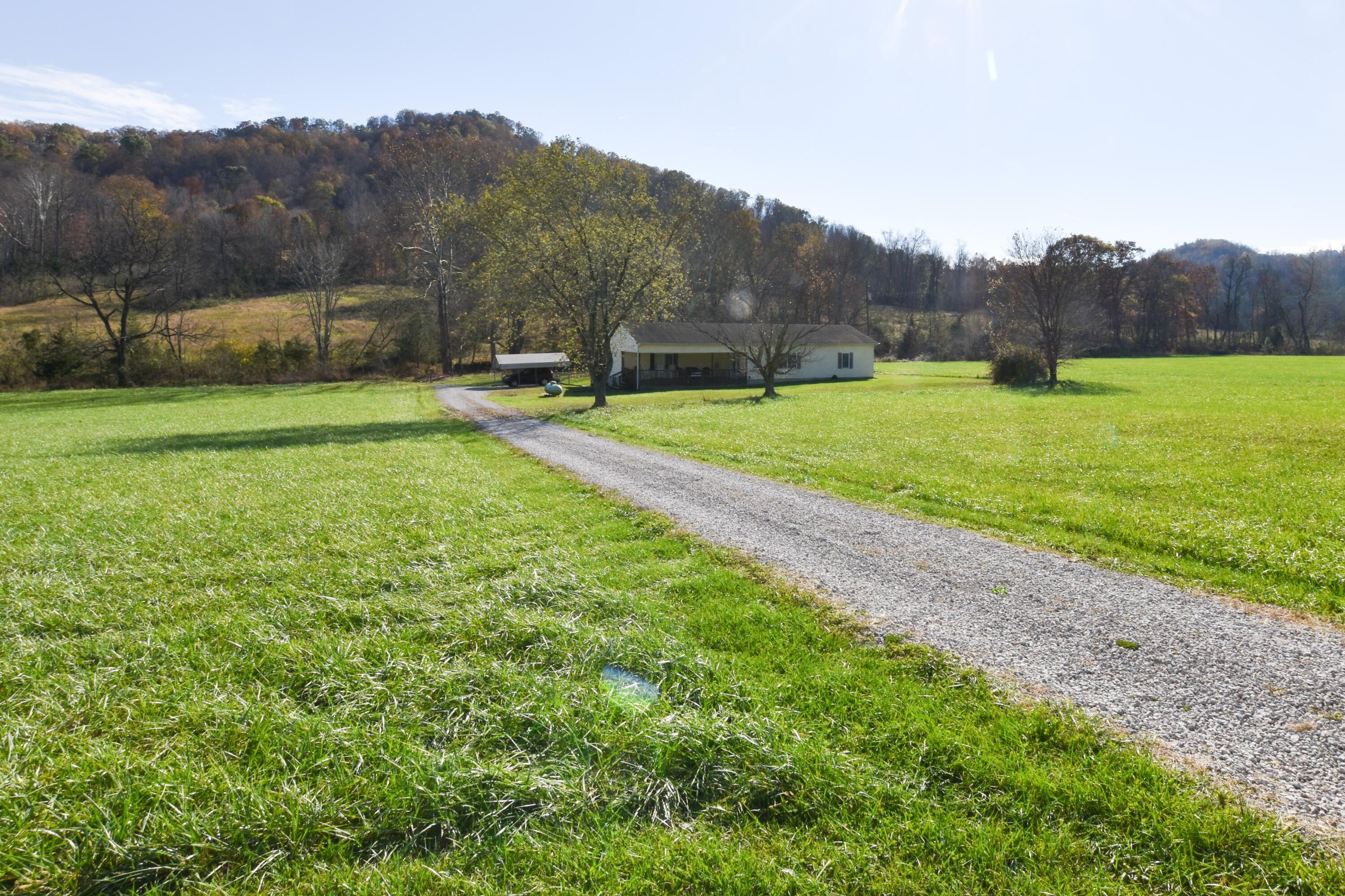 98 Acres, 6923 Quicks Run Rd, Vanceburg, KY 41179 Land and Farm