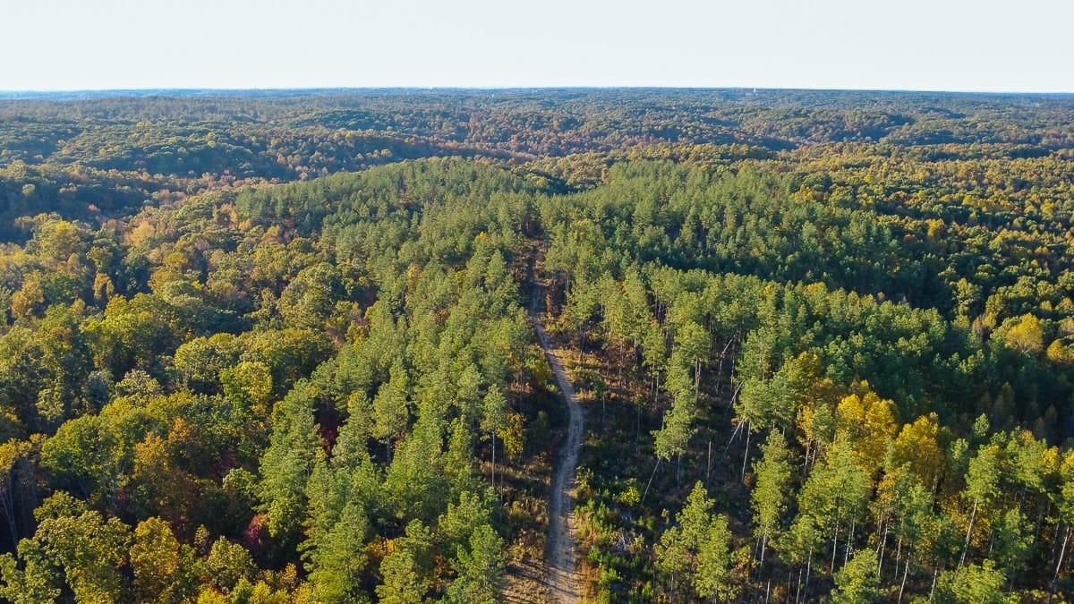 96 Acres, Fire Tower Road, Erin, TN 37061 Land and Farm