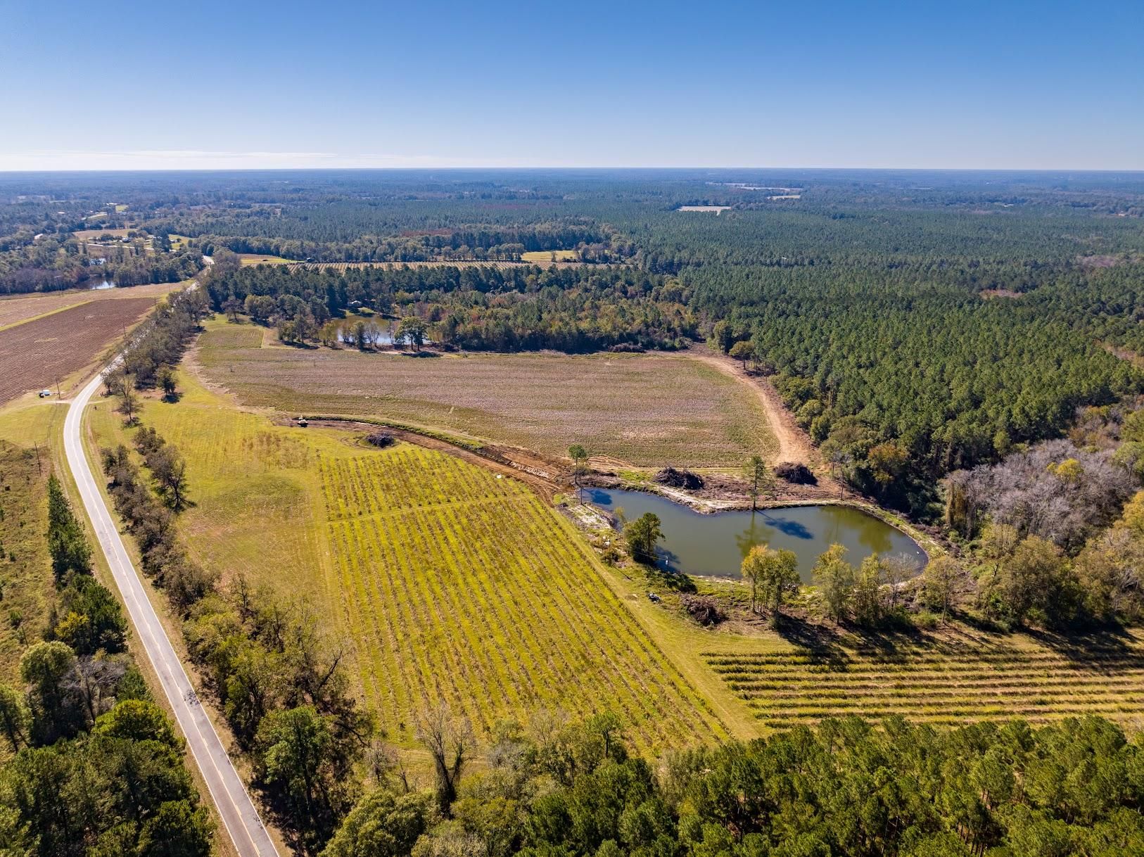 Holt Rd, Wray, GA 31774 Land and Farm