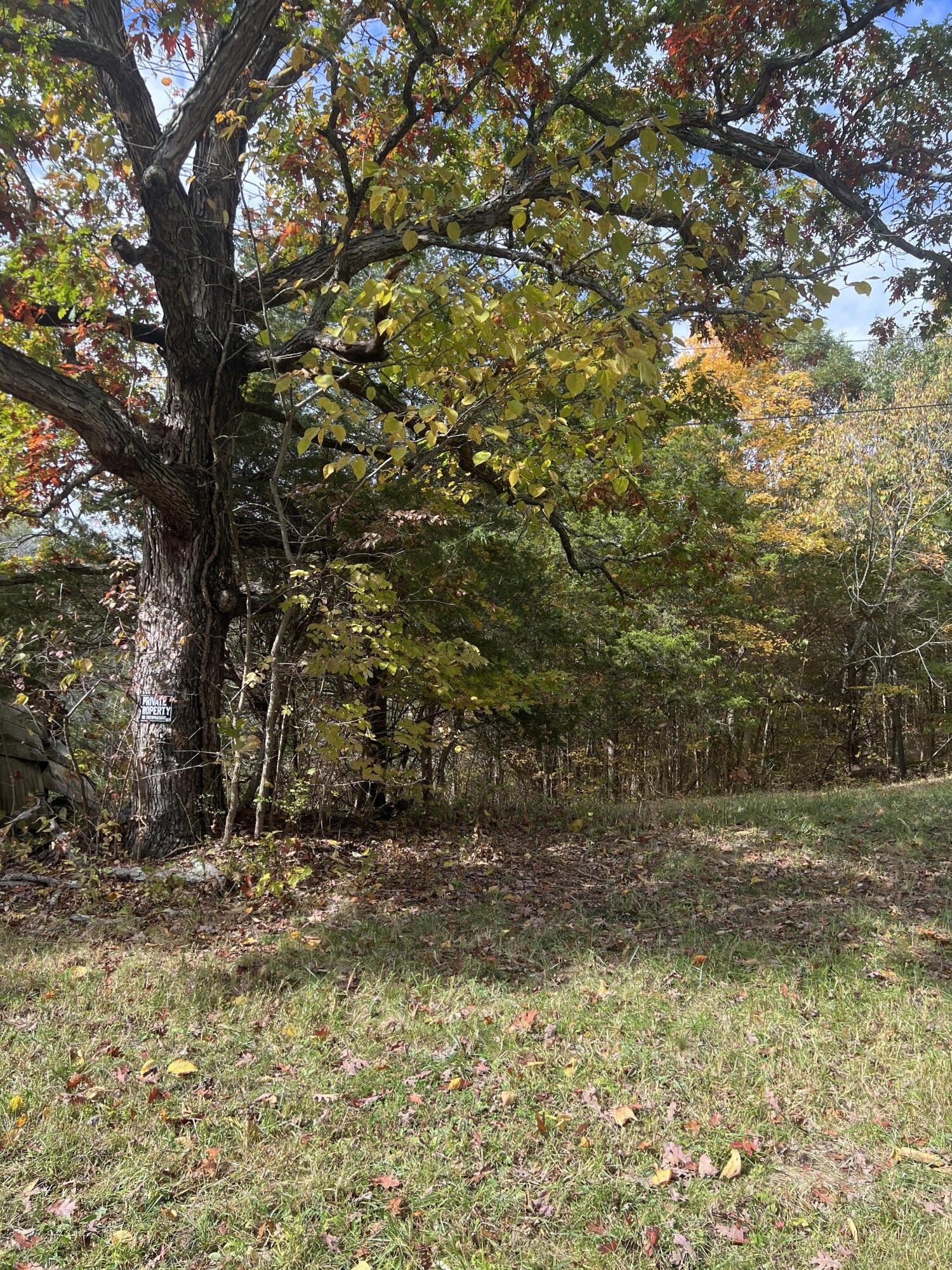 0 Plummer Road, Stamping Ground, KY 40379 MLS 23021437 Land and Farm