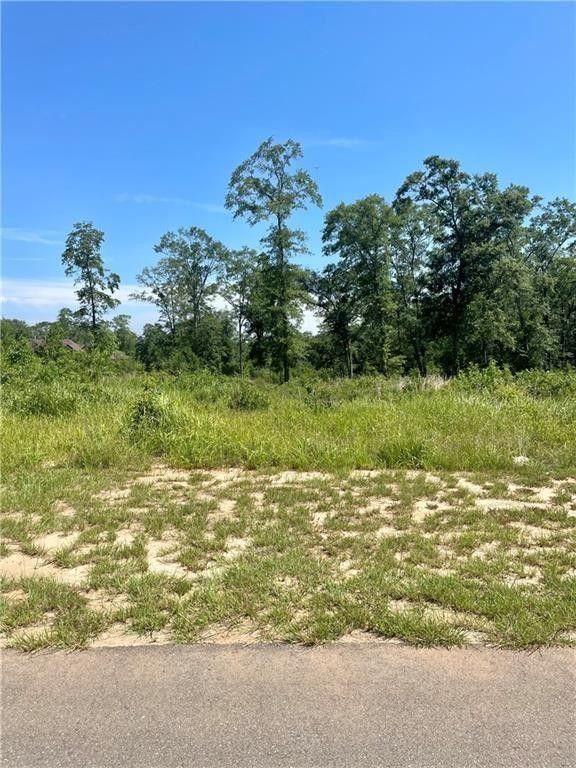 0.55 Acres, 0 Deer Crest Lane, Mobile, AL 36695 Land and Farm
