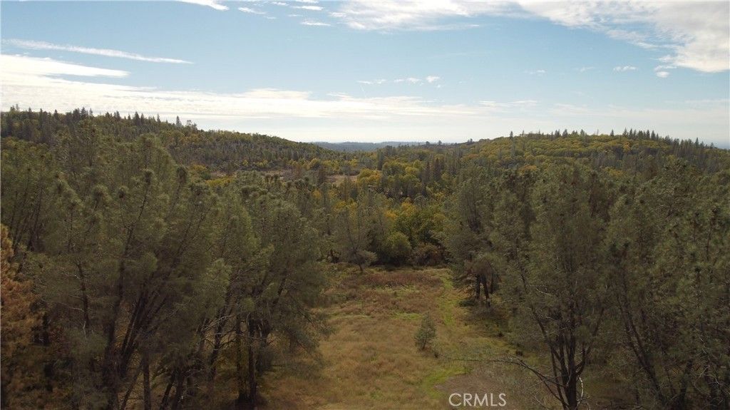 14.59 Acres, 9106 Cohasset Road, Chico, CA 95973 Land and Farm