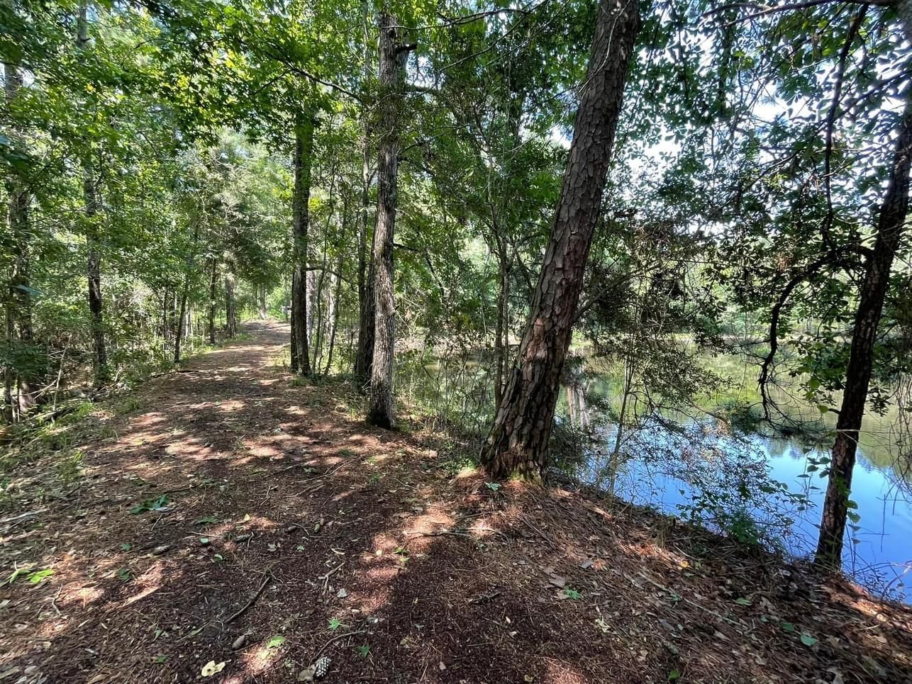 12.3 acres in Waynesboro, MS, 39367 Land and Farm