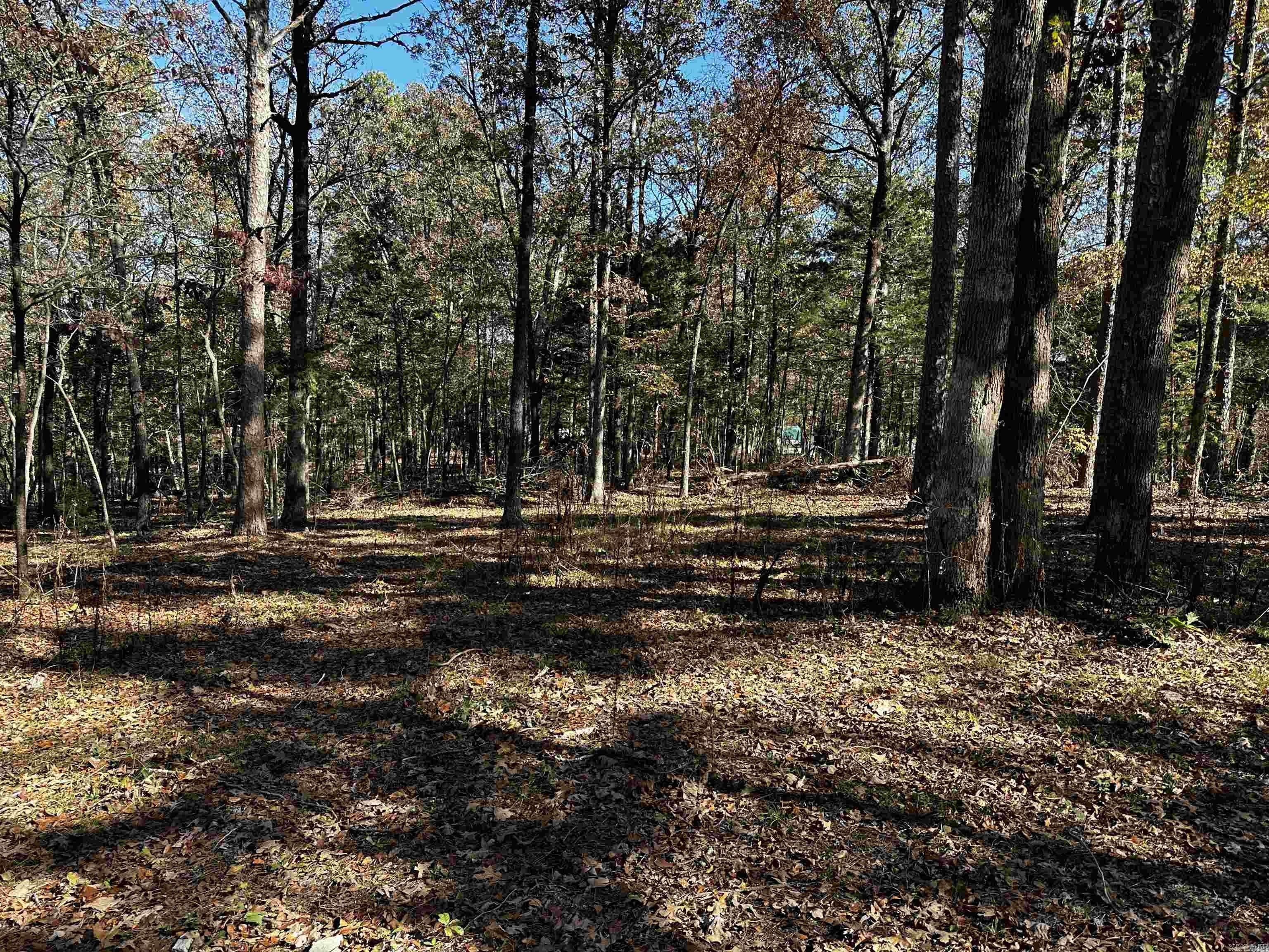 1.6 Acres, 83 Medley Rd, Evening Shade, AR 72532 Land and Farm
