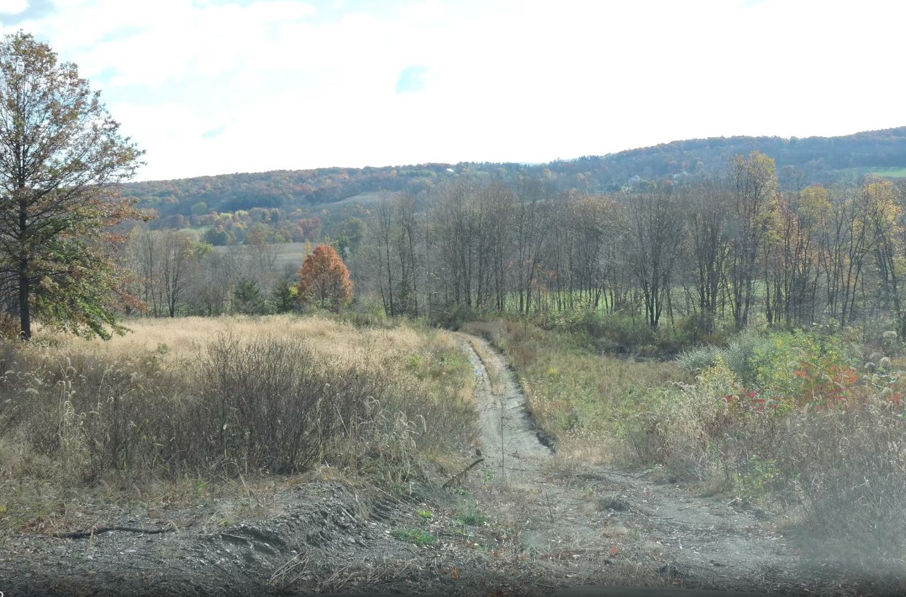 176 County Road 565, Wantage, NJ 07461 Land and Farm