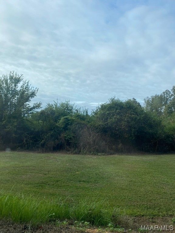 34 Acres, 250 County Road 489 Road, Verbena, AL 36091 Land and Farm