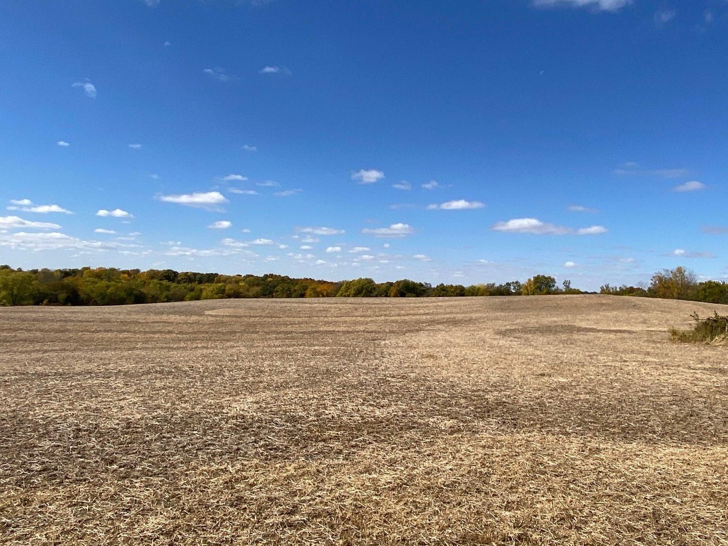 Savannah Ave Parcel, Muscatine, IA 52761 MLS 2244 Land and Farm