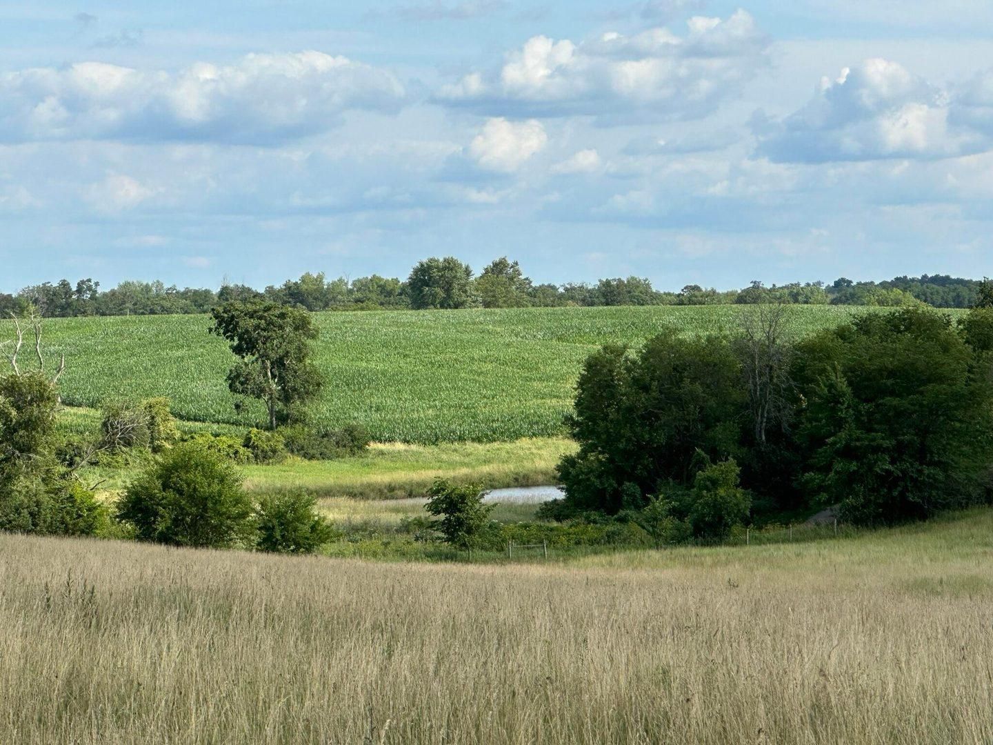 13.52 Acres, Parcel 0719400001, Fairfield, IA 52556 Land and Farm