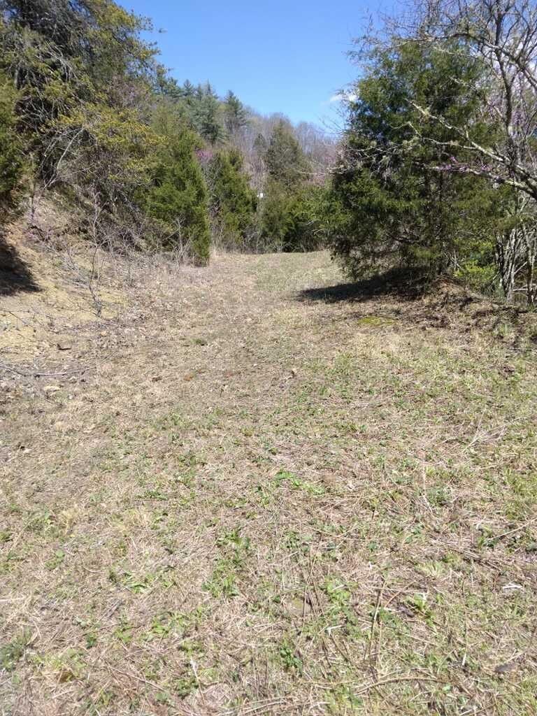 3.8 Acres, 235 Bear Hollow Road, Bristol, TN 37620 Land and Farm