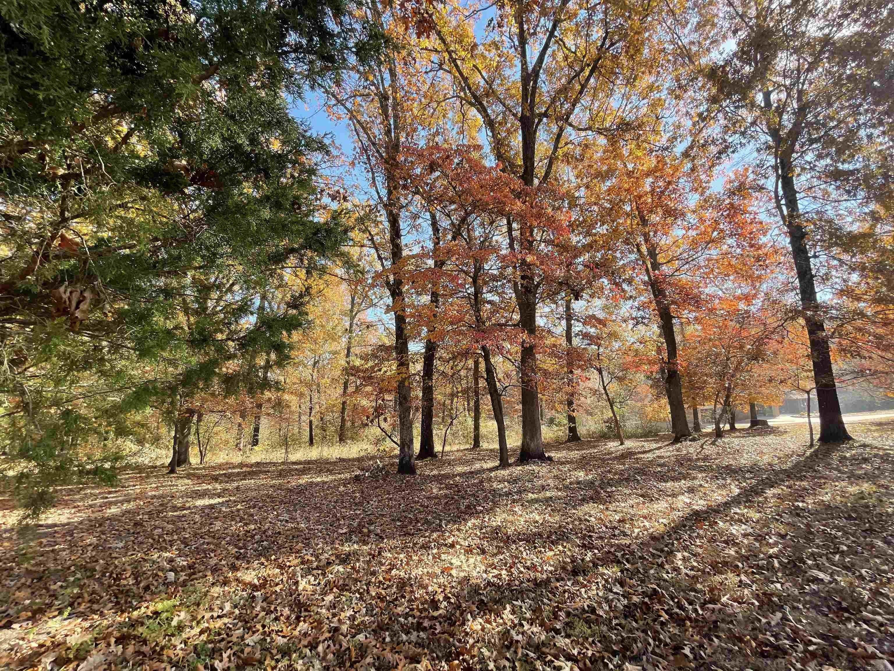 1.25 Acres, Lot 3 CR 27, Mountain Home, AR 72653 Land and Farm