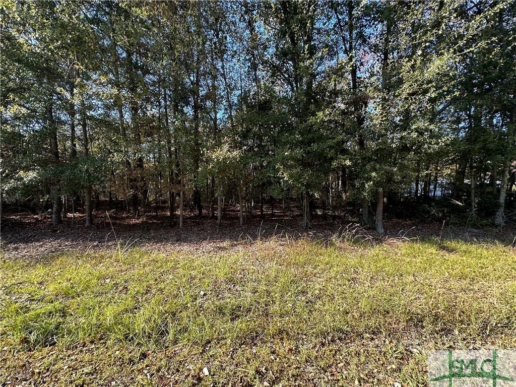3.01 Acres, 0 Fourth St Street, Guyton, GA 31329 Land and Farm