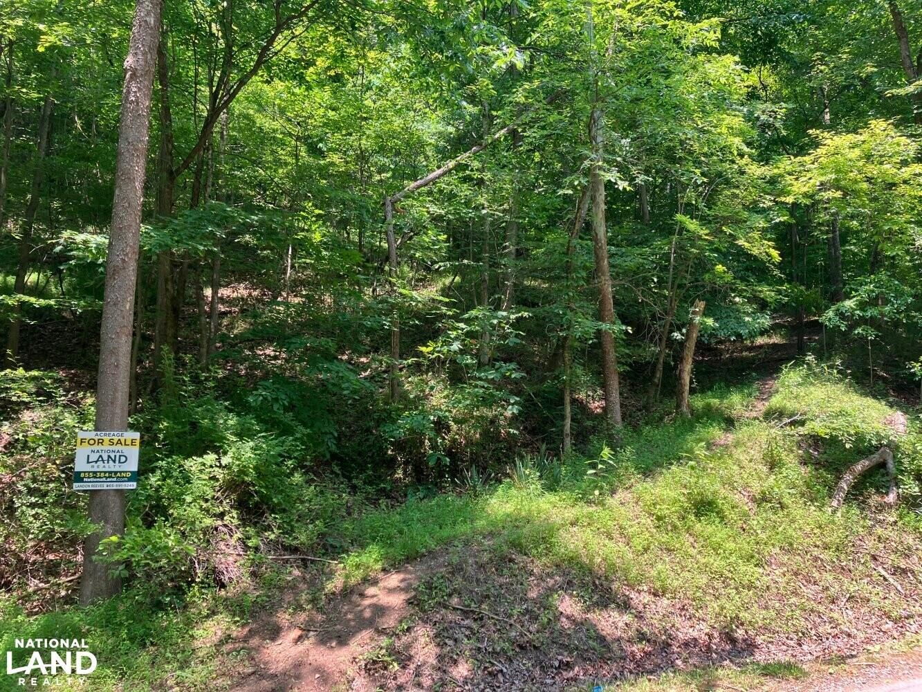 0 North Fork Rd. Chapmanville, WV, Chapmanville, WV 25508 Land and Farm