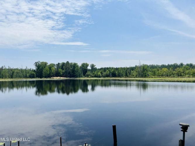 373 Spring Hill Road, Duck Hill, MS 38925 MLS 4063476 Land and Farm