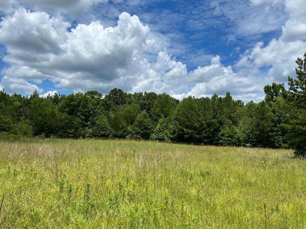 320 Acres, Sumter CR 21, Gainesville, AL 35464 Land and Farm