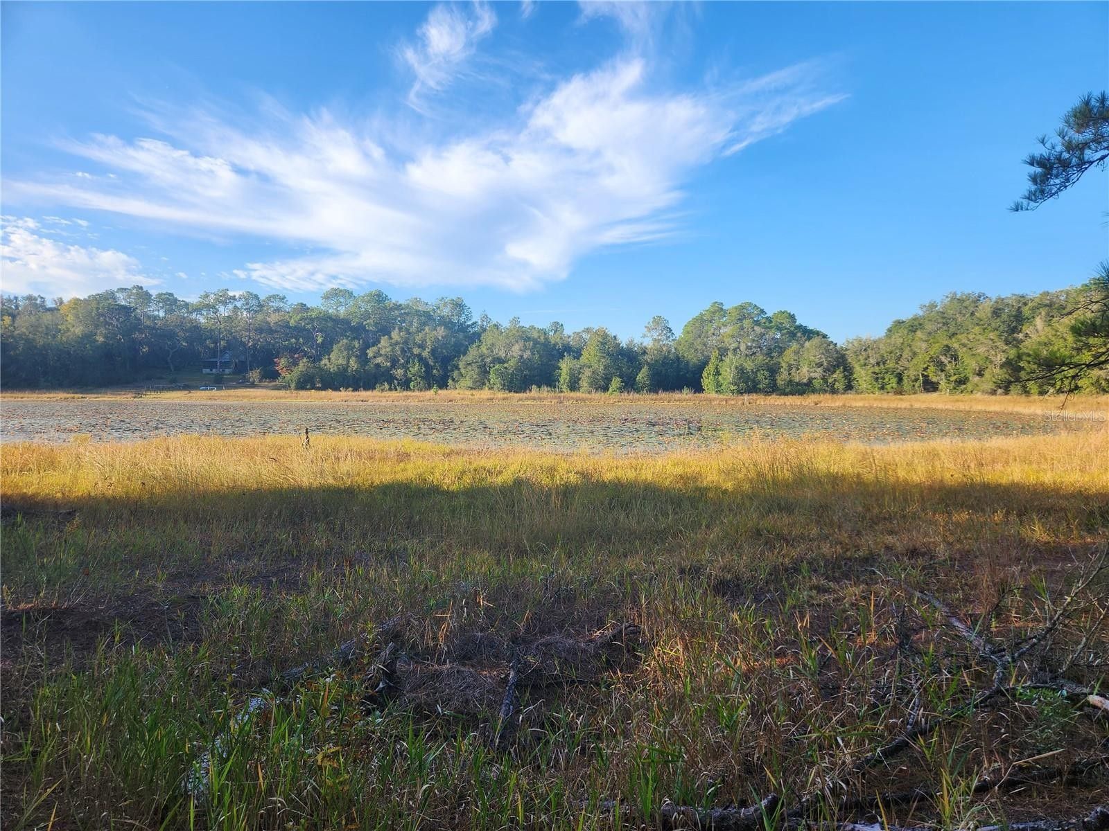 2.98 Acres, 427 S CAROLINA STREET, Hawthorne, FL 32640 Land and Farm