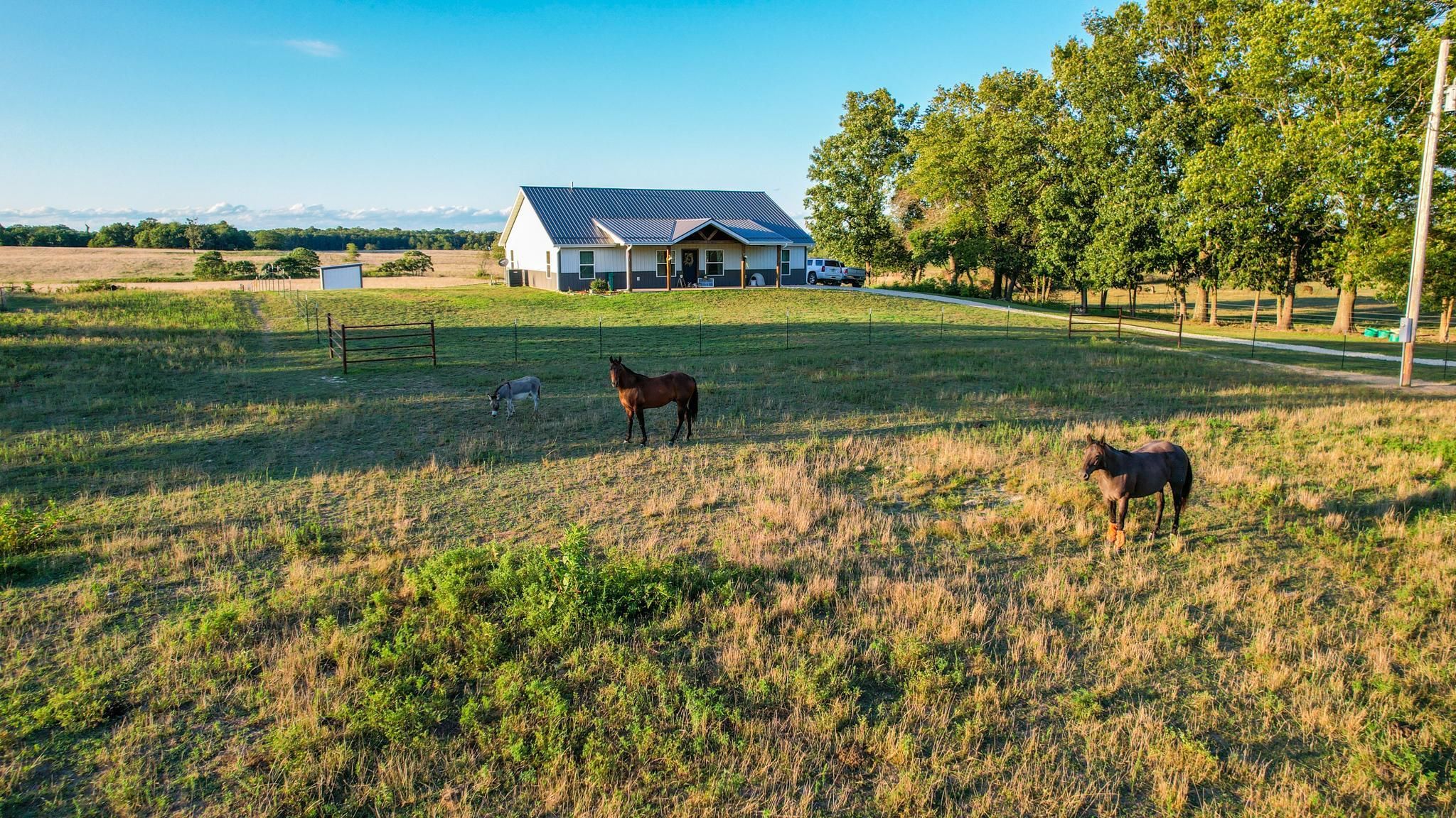 28.88 Acres, 7803 County Road 3680, Mountain View, MO 65548 Land and Farm