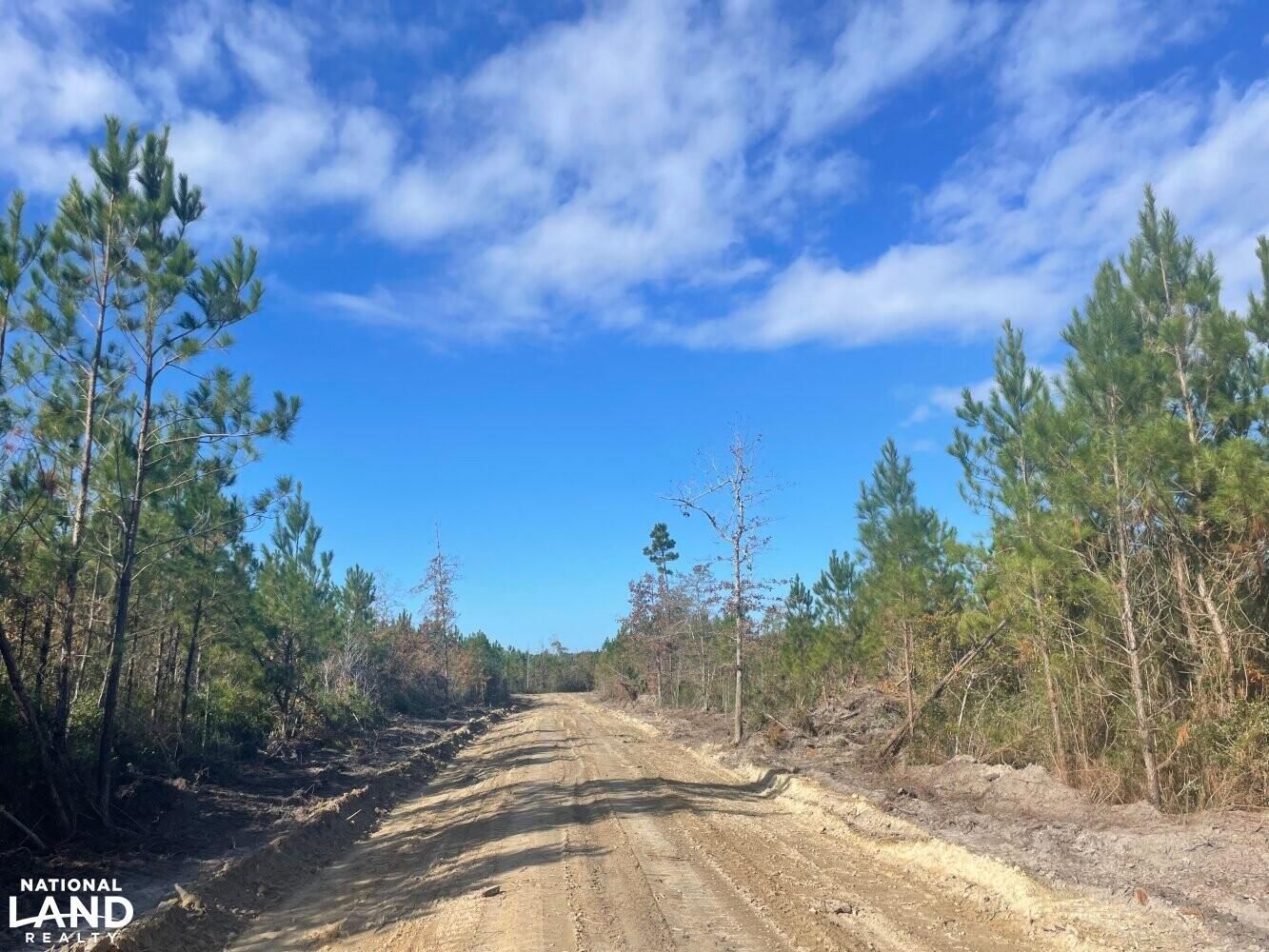 0 WeeNee Road, Jamestown, SC 29453 Land and Farm