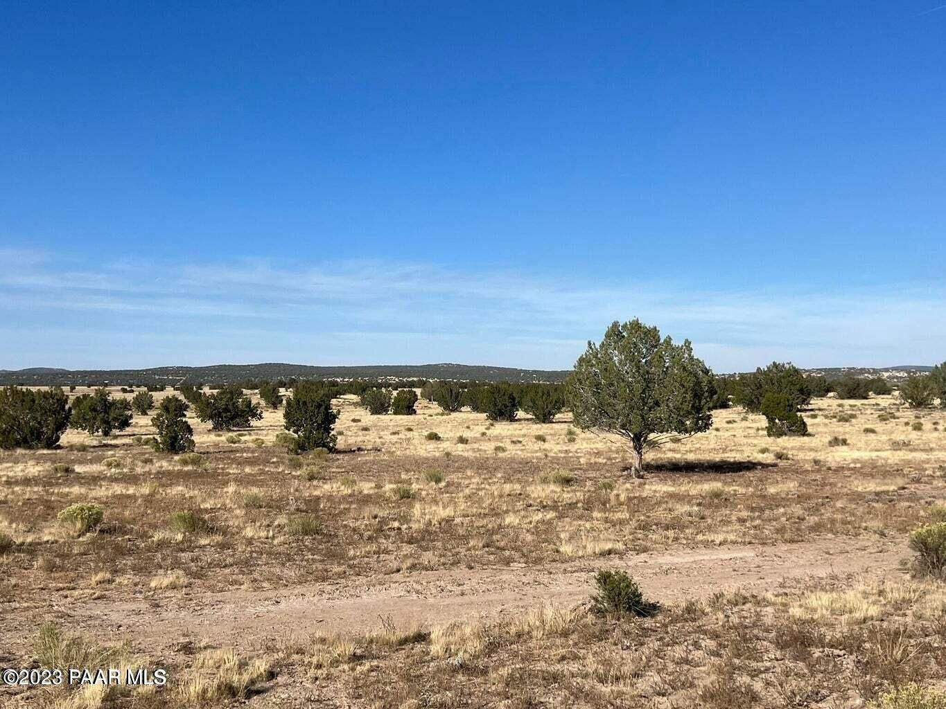 10 Acres, Ne4 117 Juniperwood Ranch, Ash Fork, AZ 86320 Land and Farm